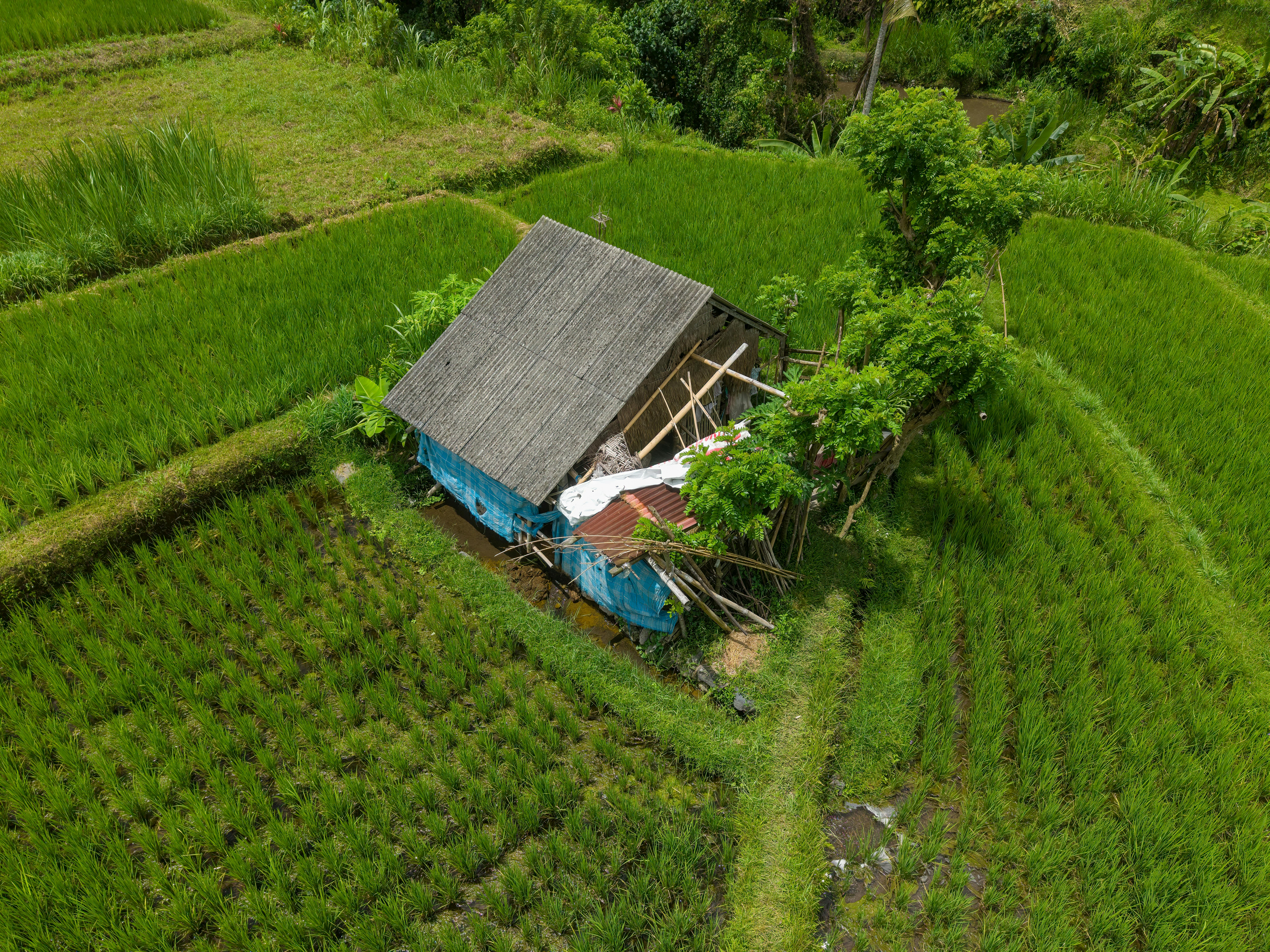 Adaptation Insights – Climate-Resilient Health Systems for Sustained Value Chains, Healthcare Access and Services — Photo by 