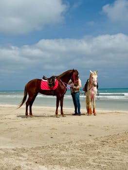 A person stands with two horses on a serene beach under a partly cloudy sky.