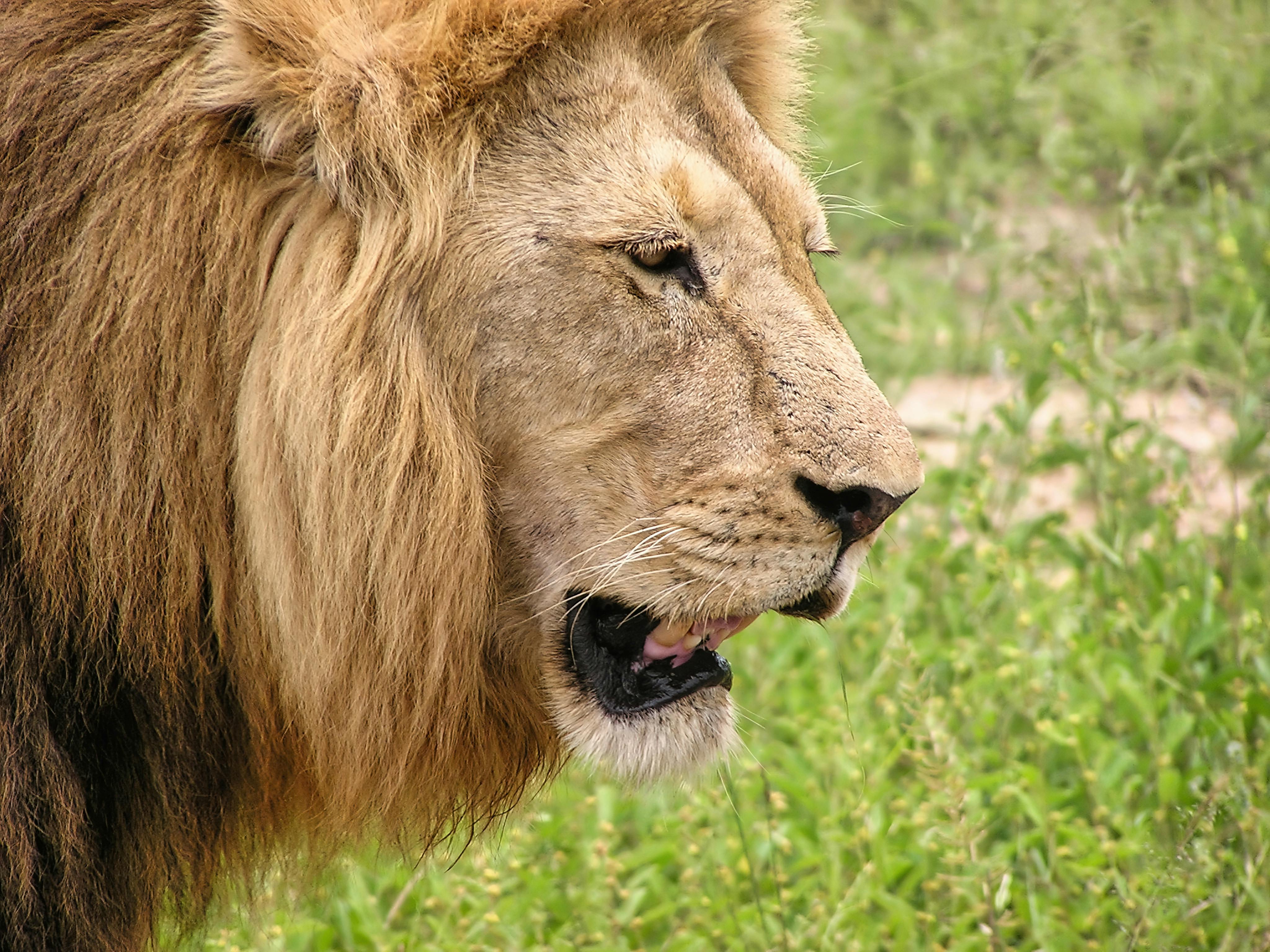 Ultra-High Energy Gamma Ray Source Discovery 2026 Puzzles Astronomers