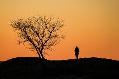 Free Silhouette of a lone figure and tree against a vibrant sunset sky. Stock Photo