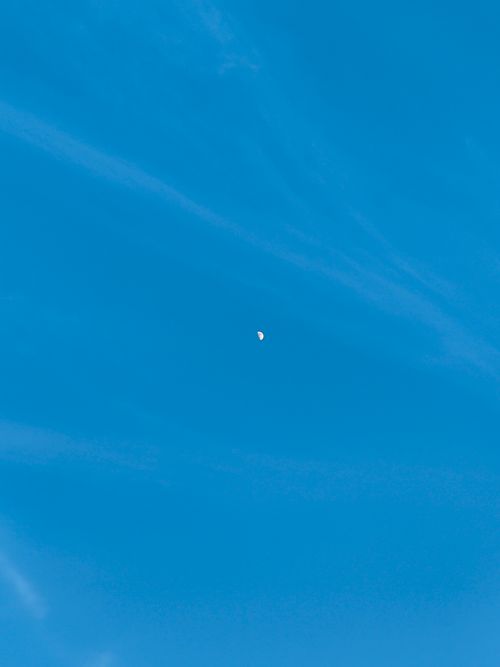 Free moon Stock Photo