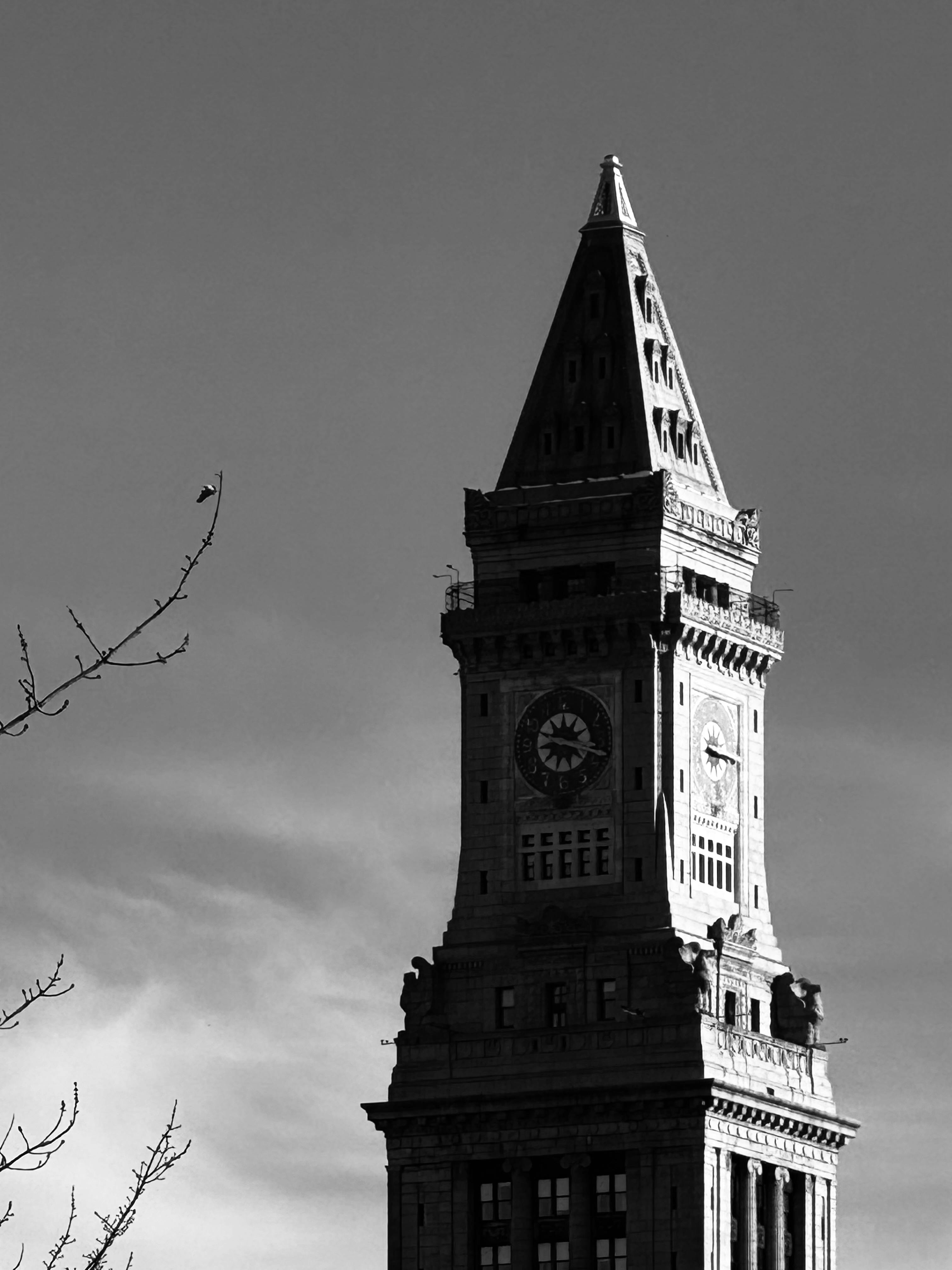 一頁式網站成功案例：為什麼有些網站可以持續接到客戶？圖片