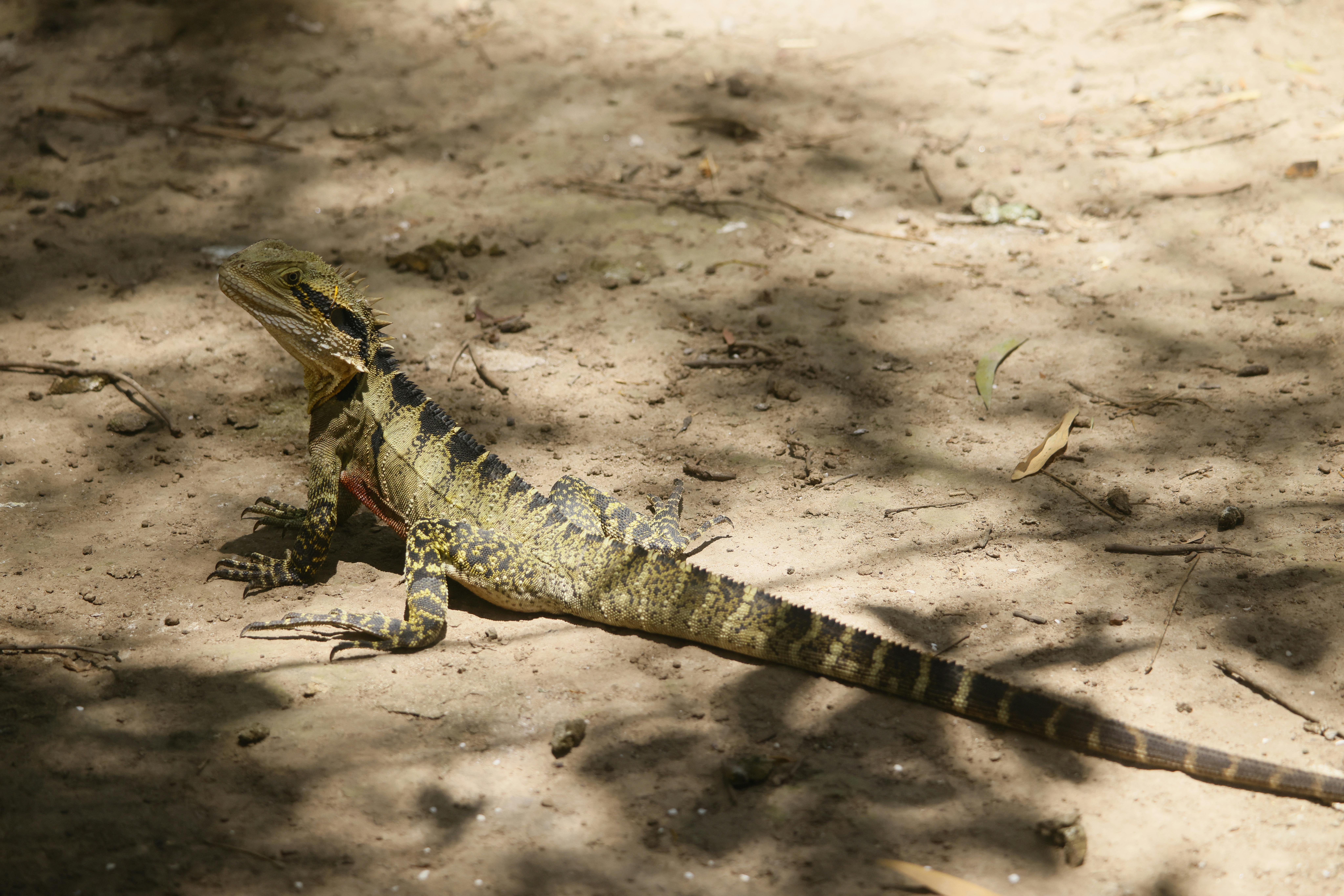 Latest Alien Technology Advancements in Defense