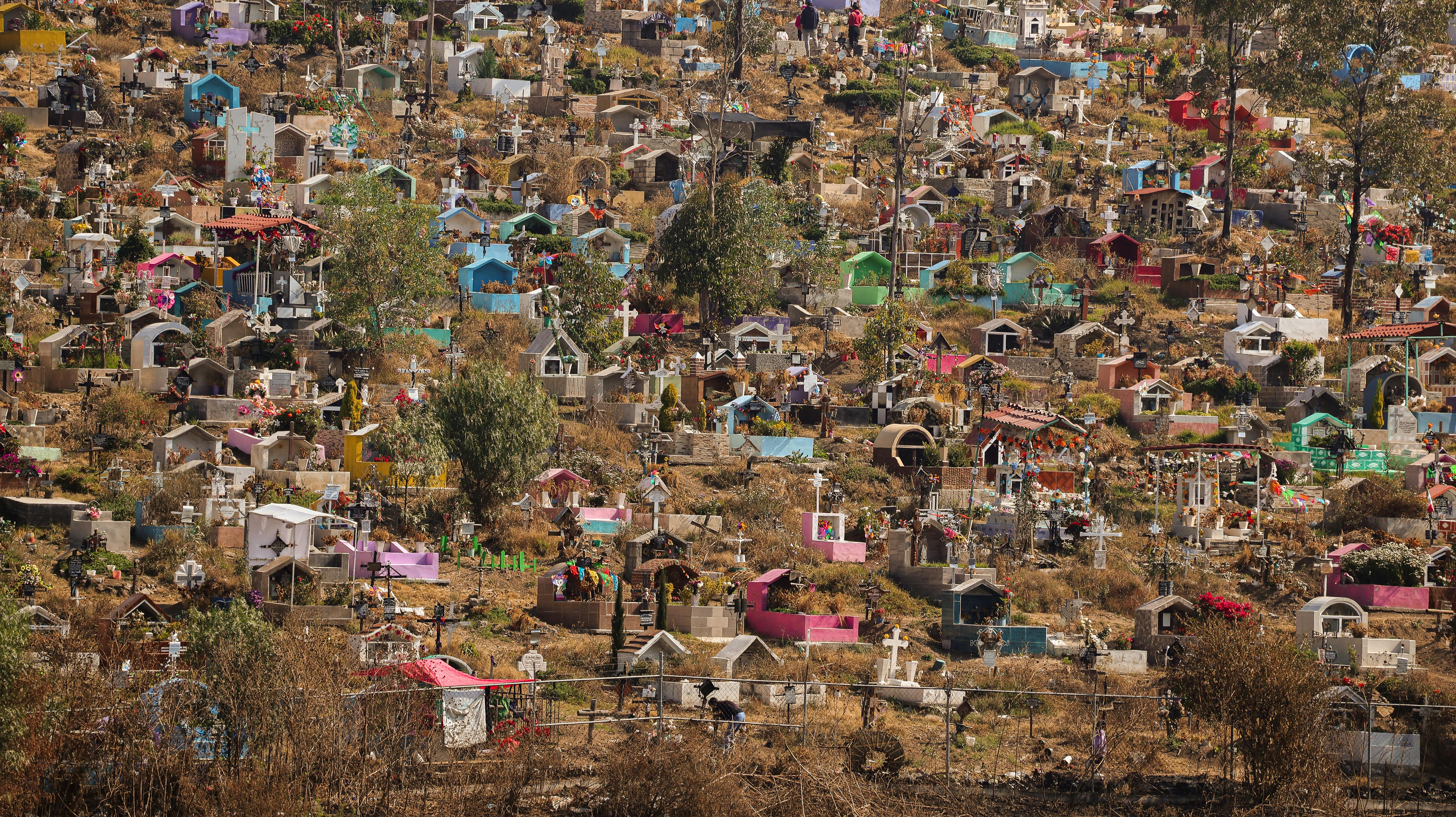 墨西哥州一座色彩斑斓的户外墓园，景色生机勃勃。