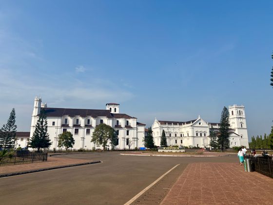 Se Cathedral