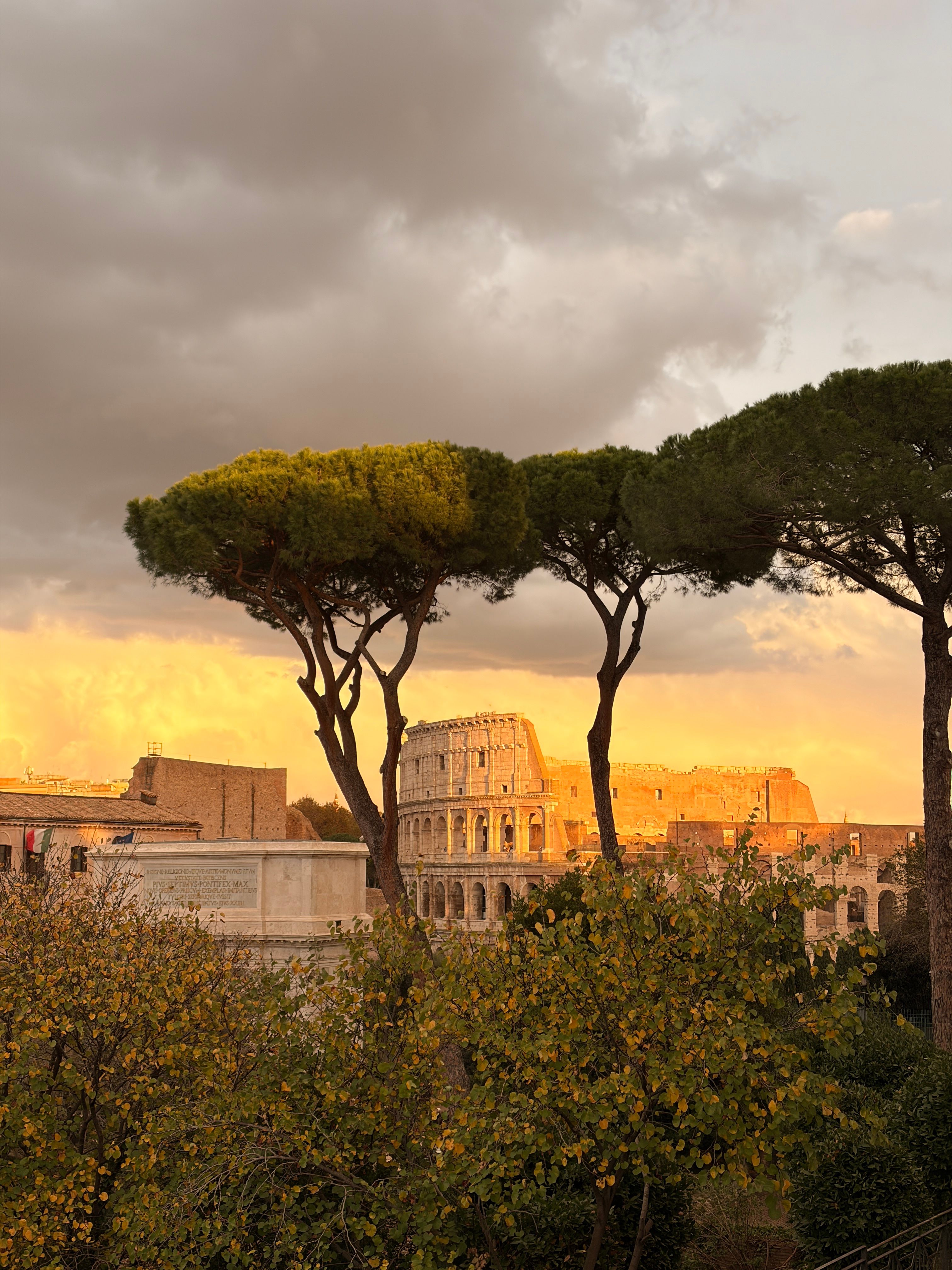 Captivating sunset over the Colosseum in Rome, framed by lush pine trees and dramatic clouds.