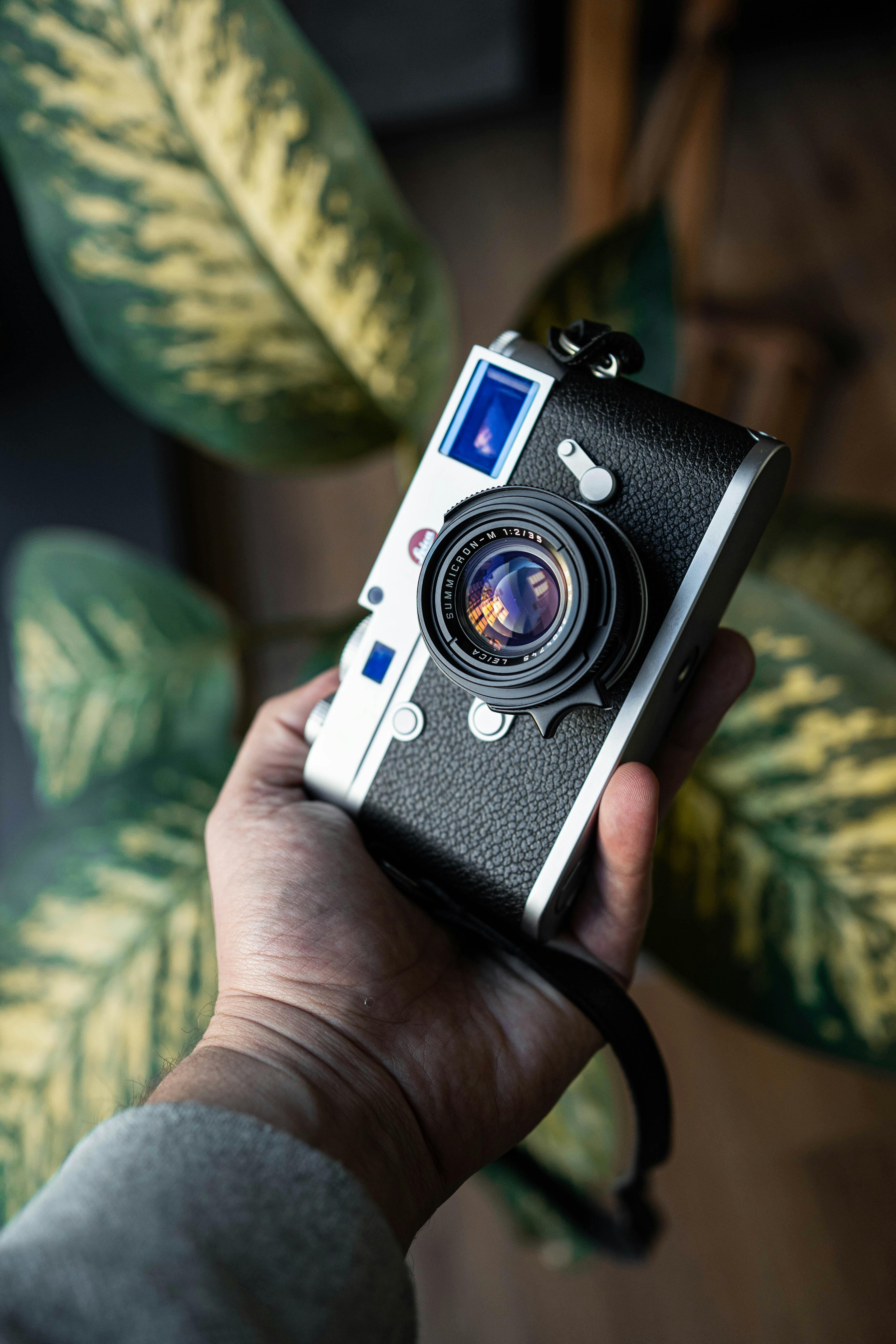 Close-up of a vintage camera being held with a plant background in Istanbul.