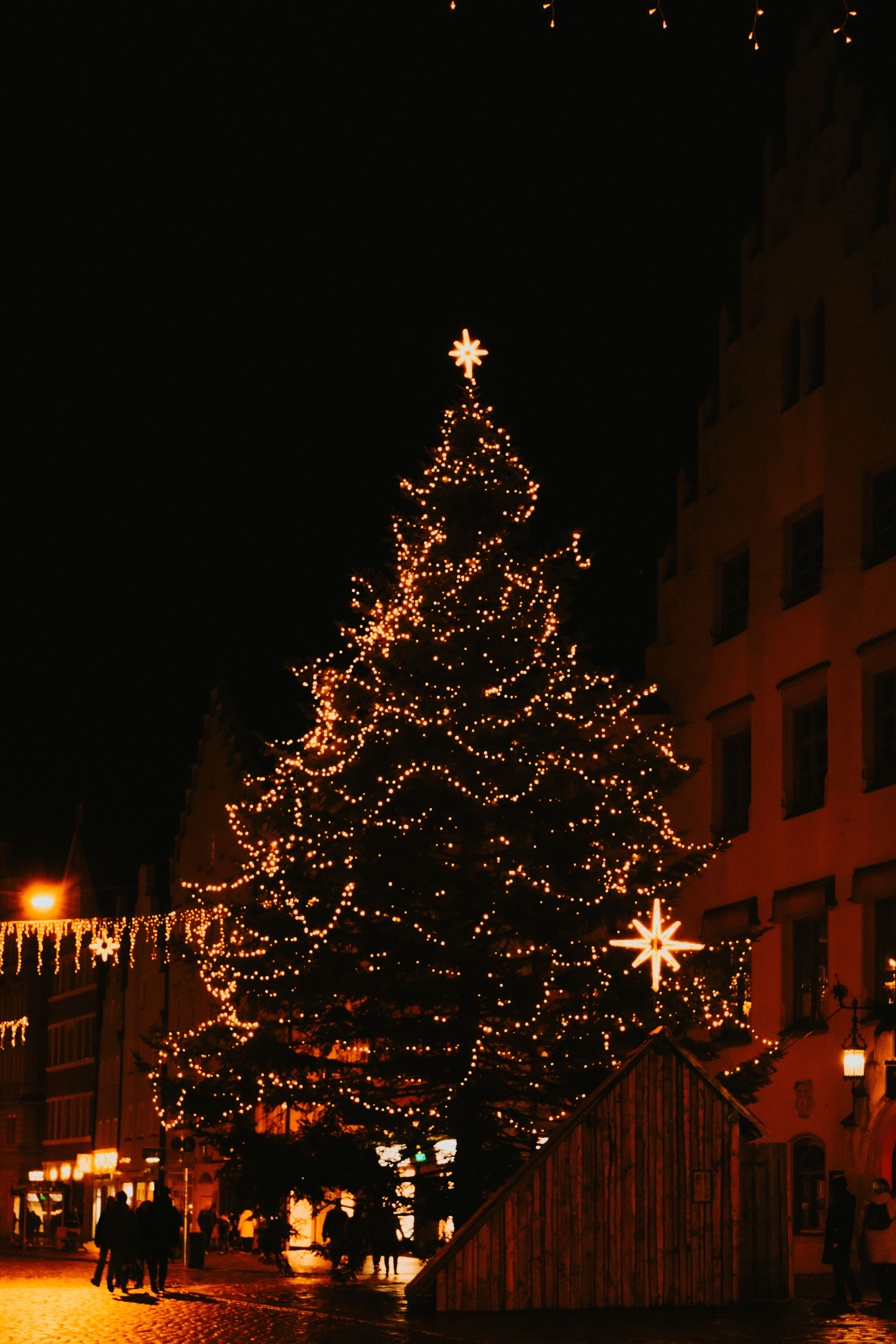 Festive Christmas Tree Illuminated at Night · Free Stock Photo