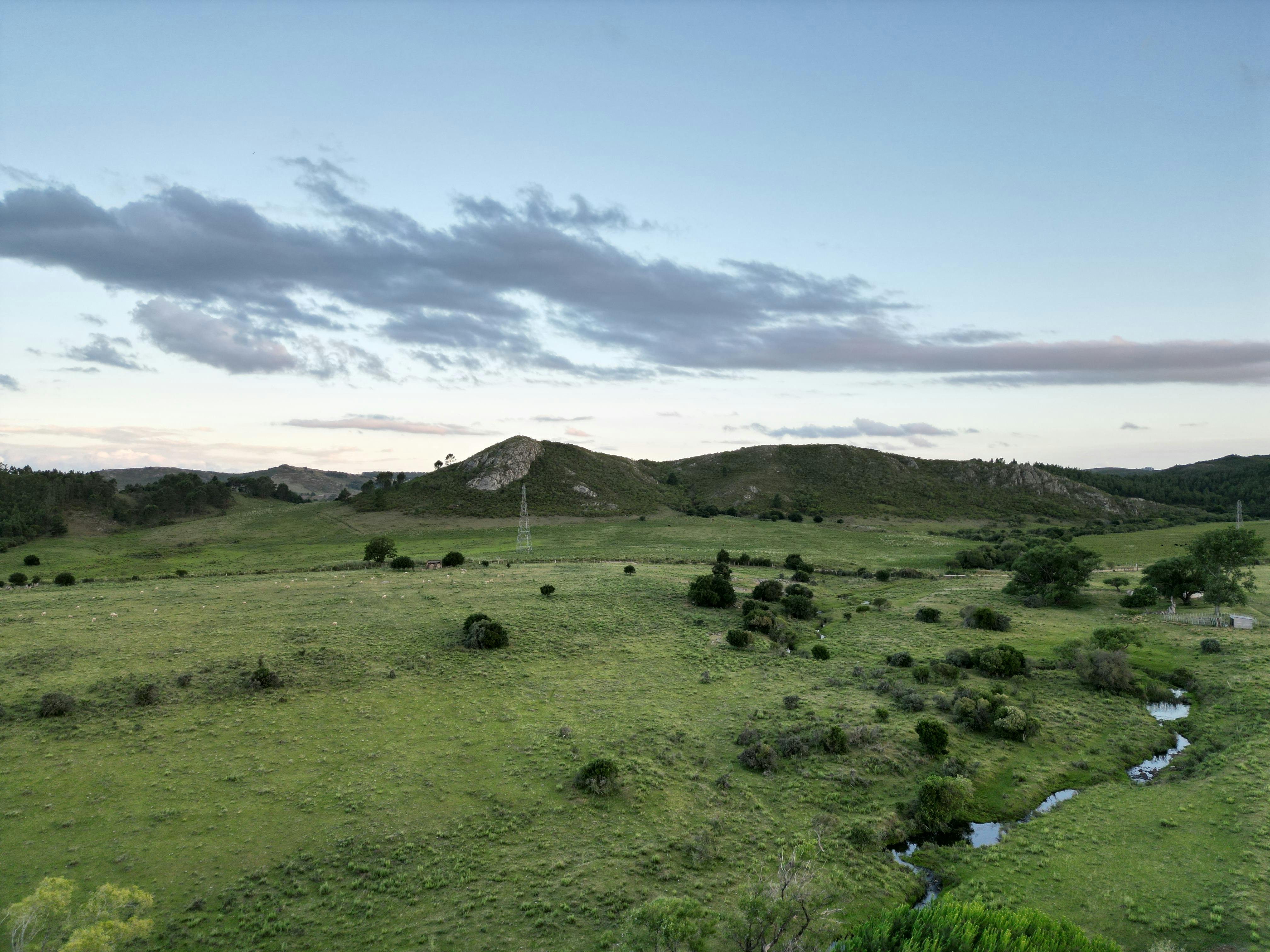 这里风景宁静优美，连绵起伏的绿色山丘、牧场和黄昏时分晴朗的天空，是自然爱好者的理想之地。