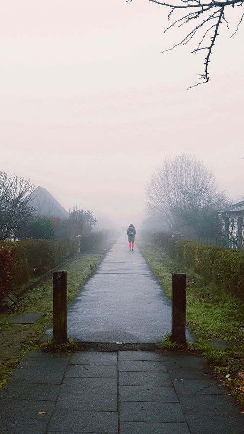 Free A person walking alone on a foggy pathway lined with hedges, creating a mysterious atmosphere. Stock Photo