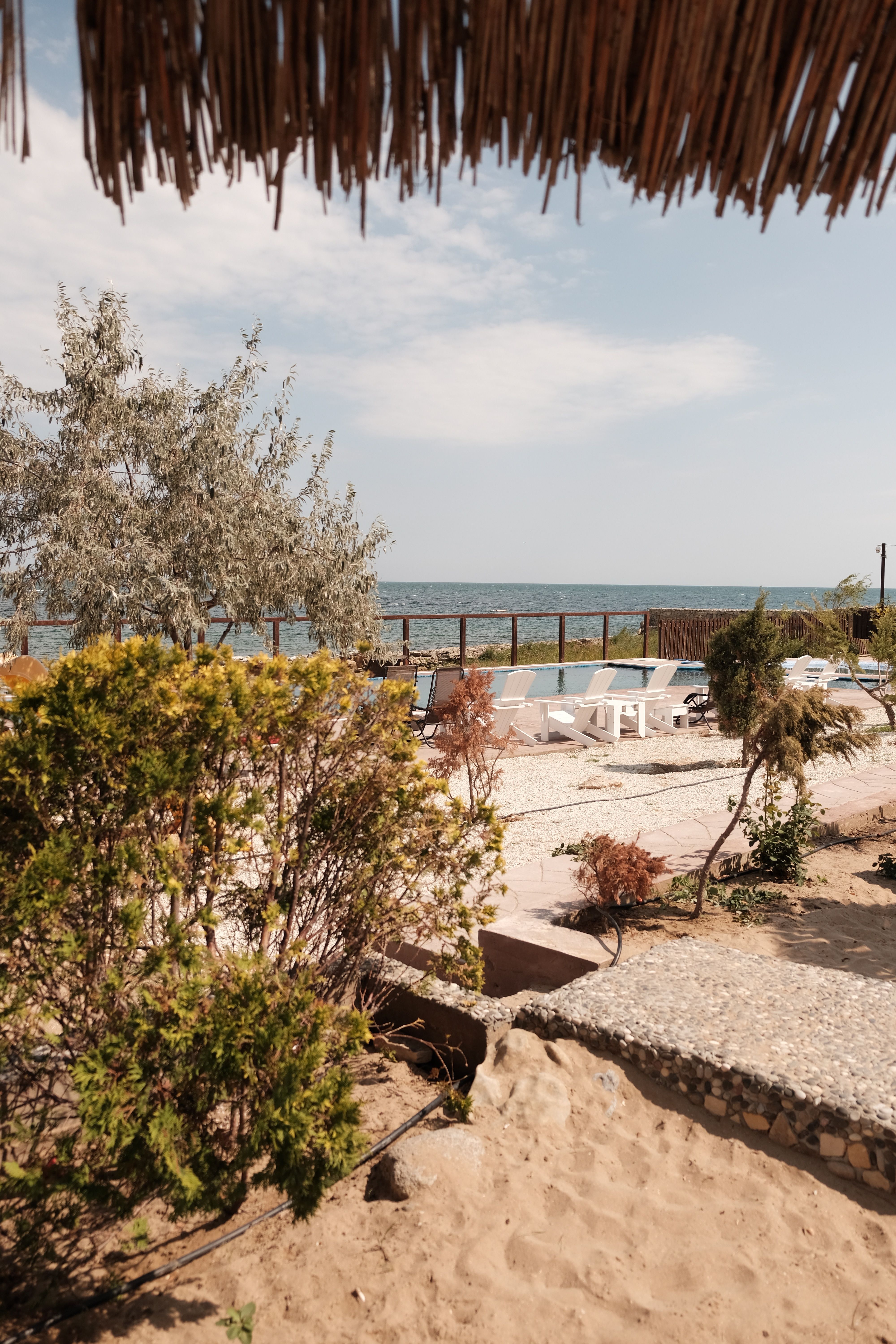 Tranquil Beachside View with Rustic Charm · Free Stock Photo