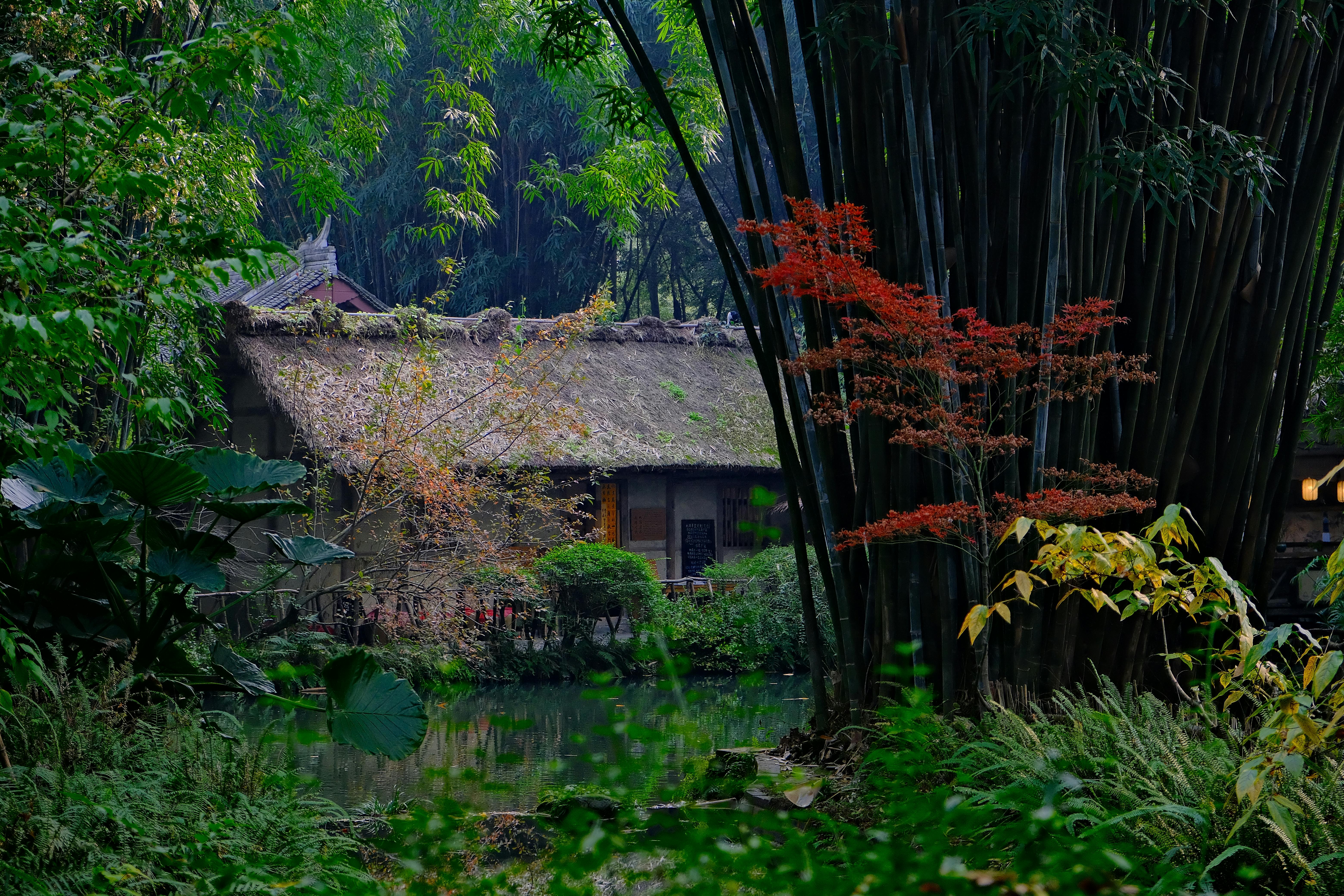 Rare Ingredients for Gourmet Desserts