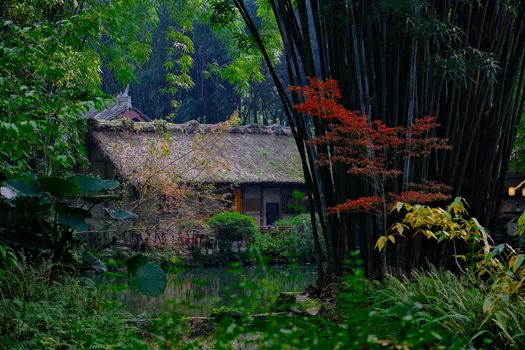 Peaceful bamboo forest scene with a traditional thatched-roof hut in autumn.