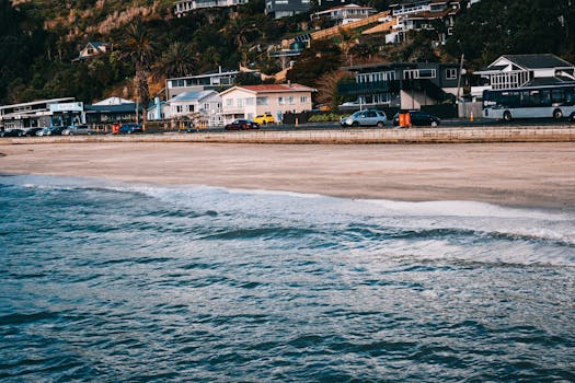 A picturesque view of Auckland's sandy beach with seaside homes lining the coast.
