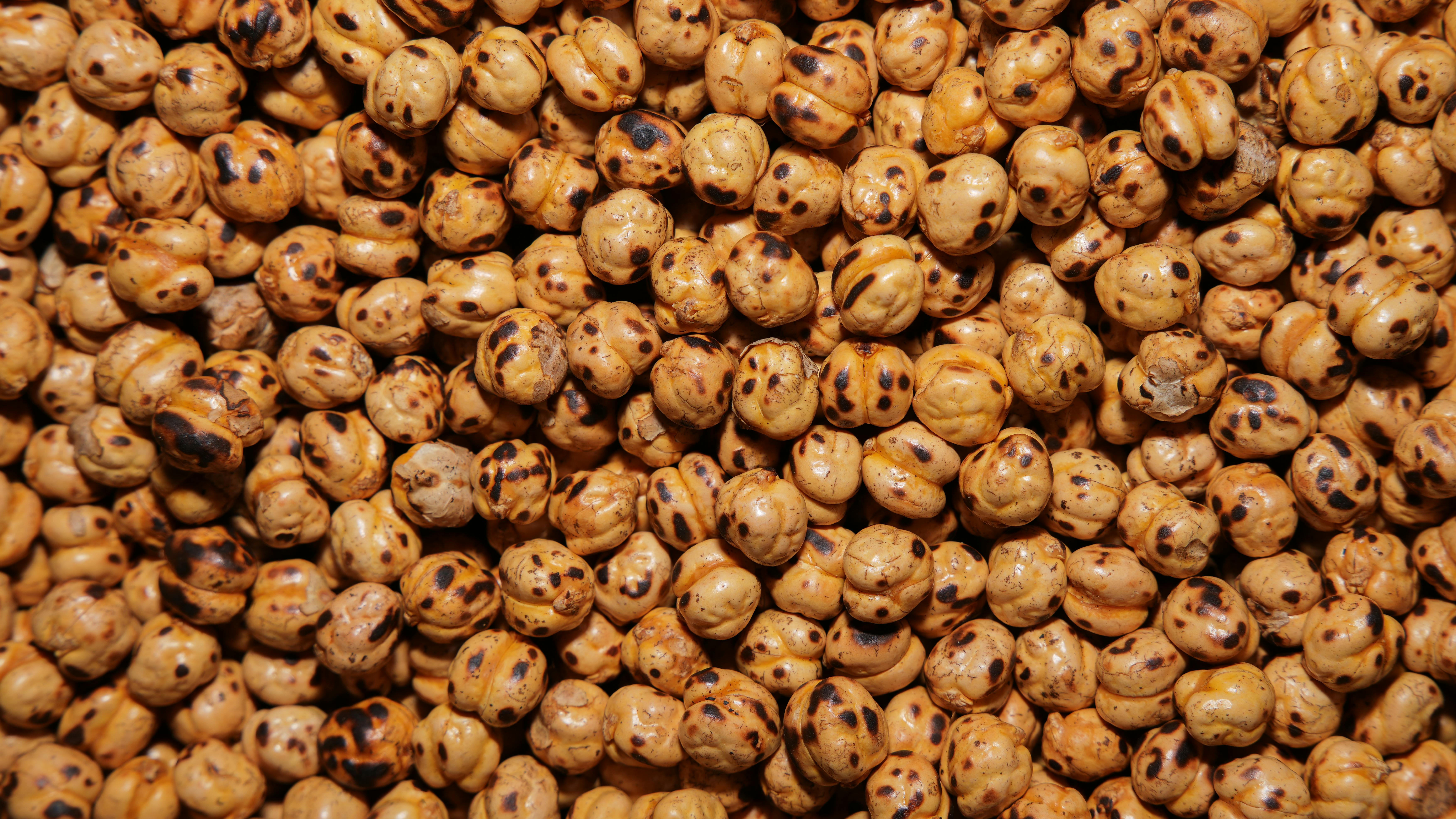 Roasted chickpeas with a crispy texture suitable for healthy snacking.