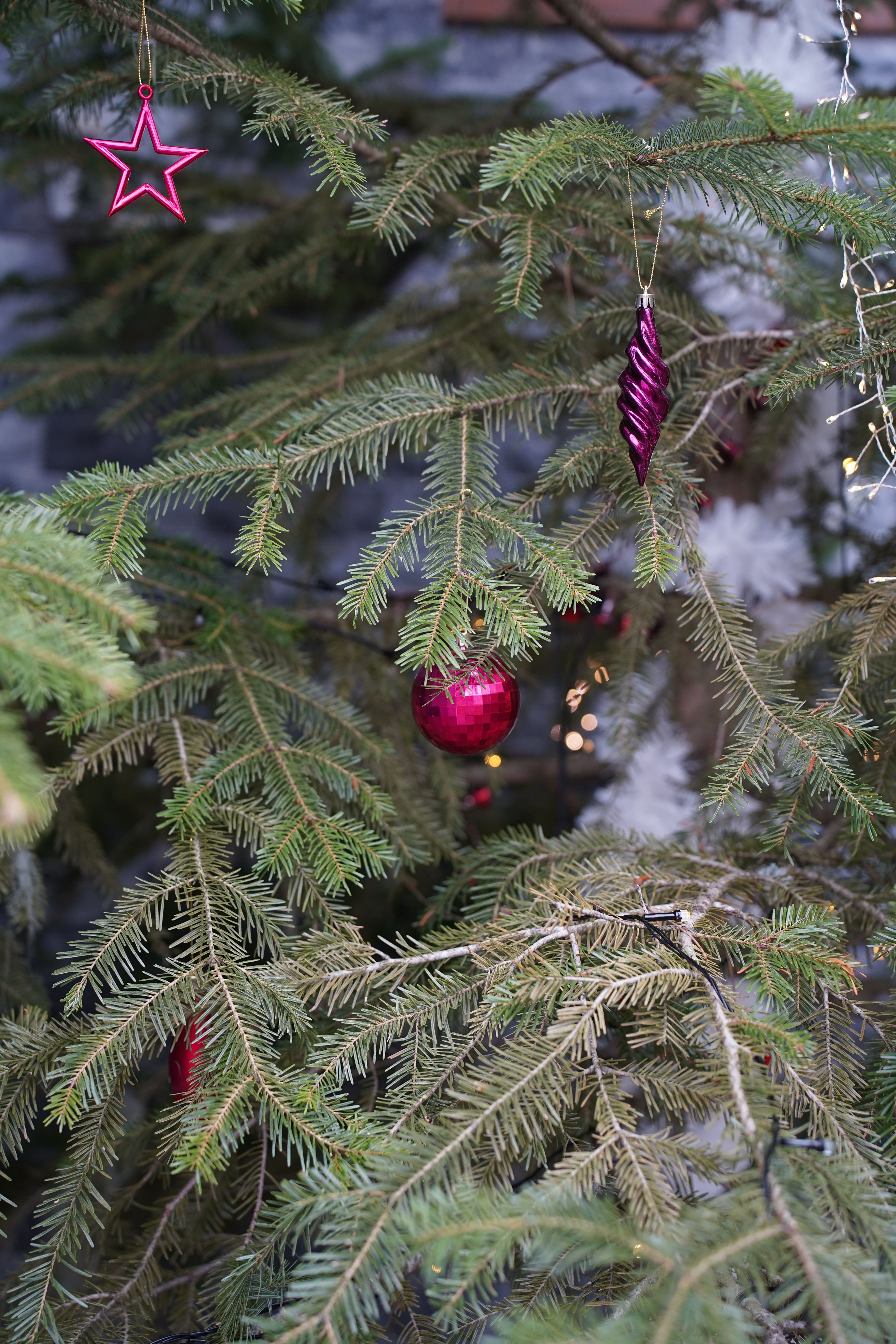Decorative Christmas tree adorned with red ornaments, adding a festive touch to a cozy winter setting in Çanakkale, Türkiye.