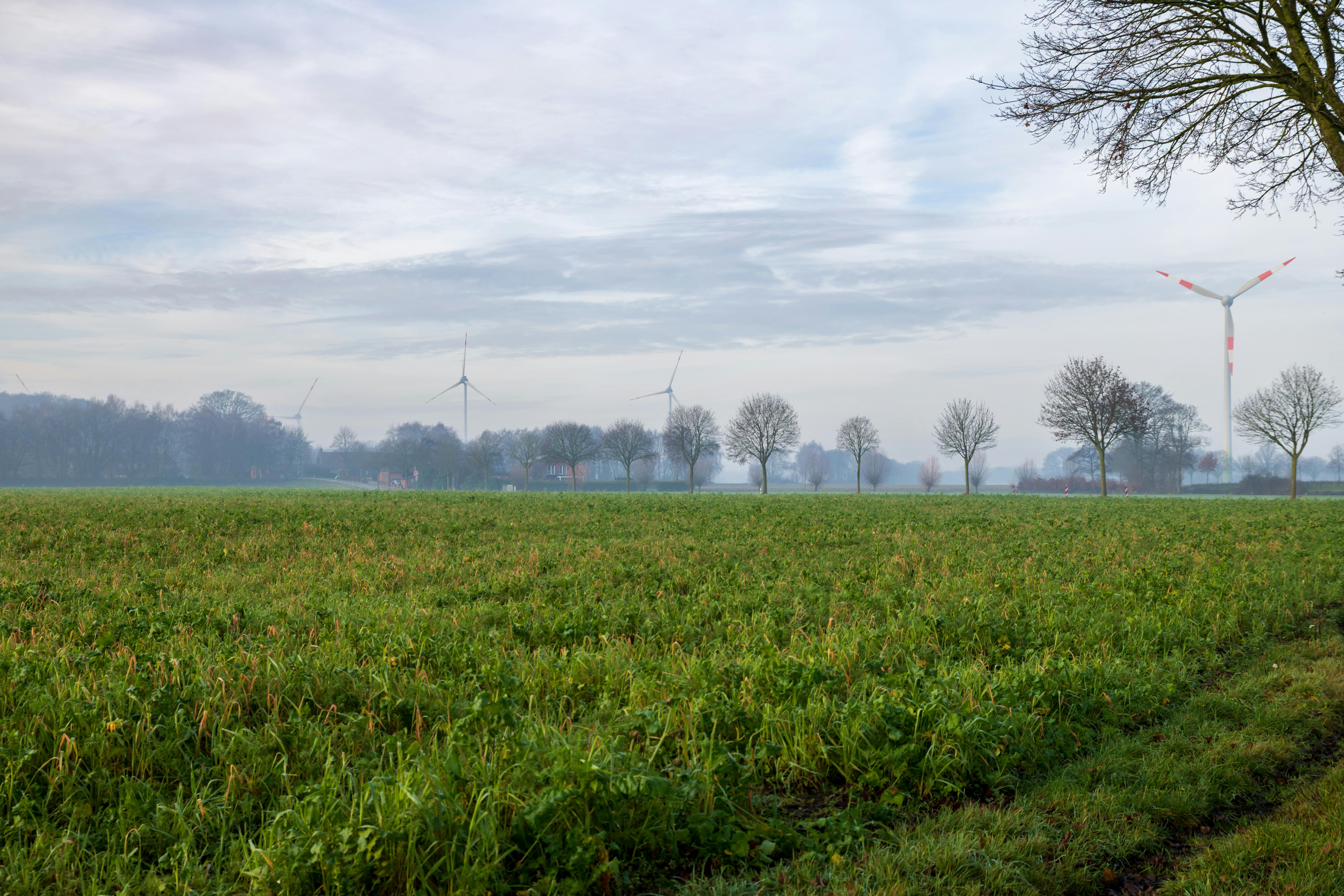 Sustainable Energy Integration for Future Warehouses and Battery Systems