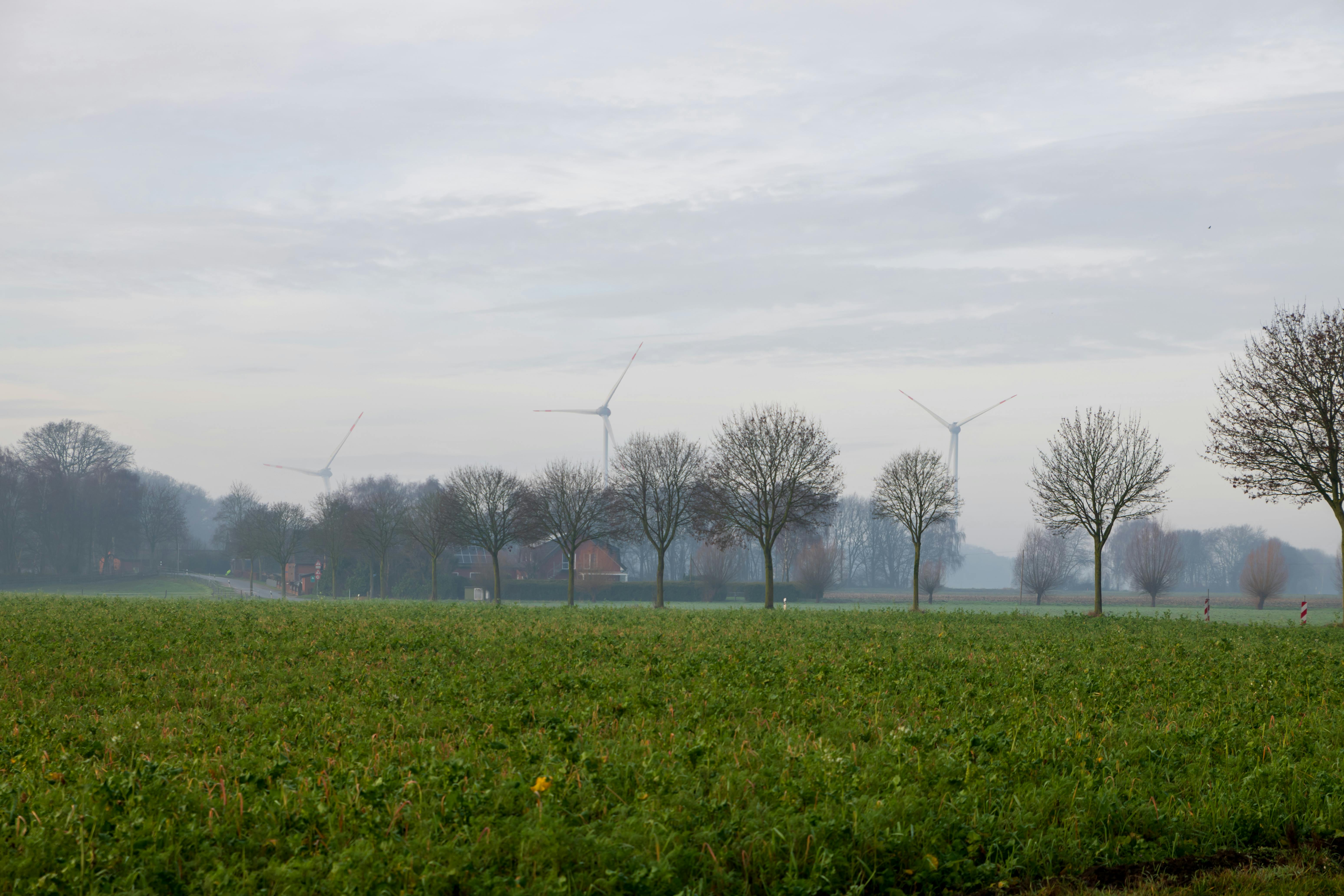Expansive rural landscape with wind turbines and trees under a cloudy sky.