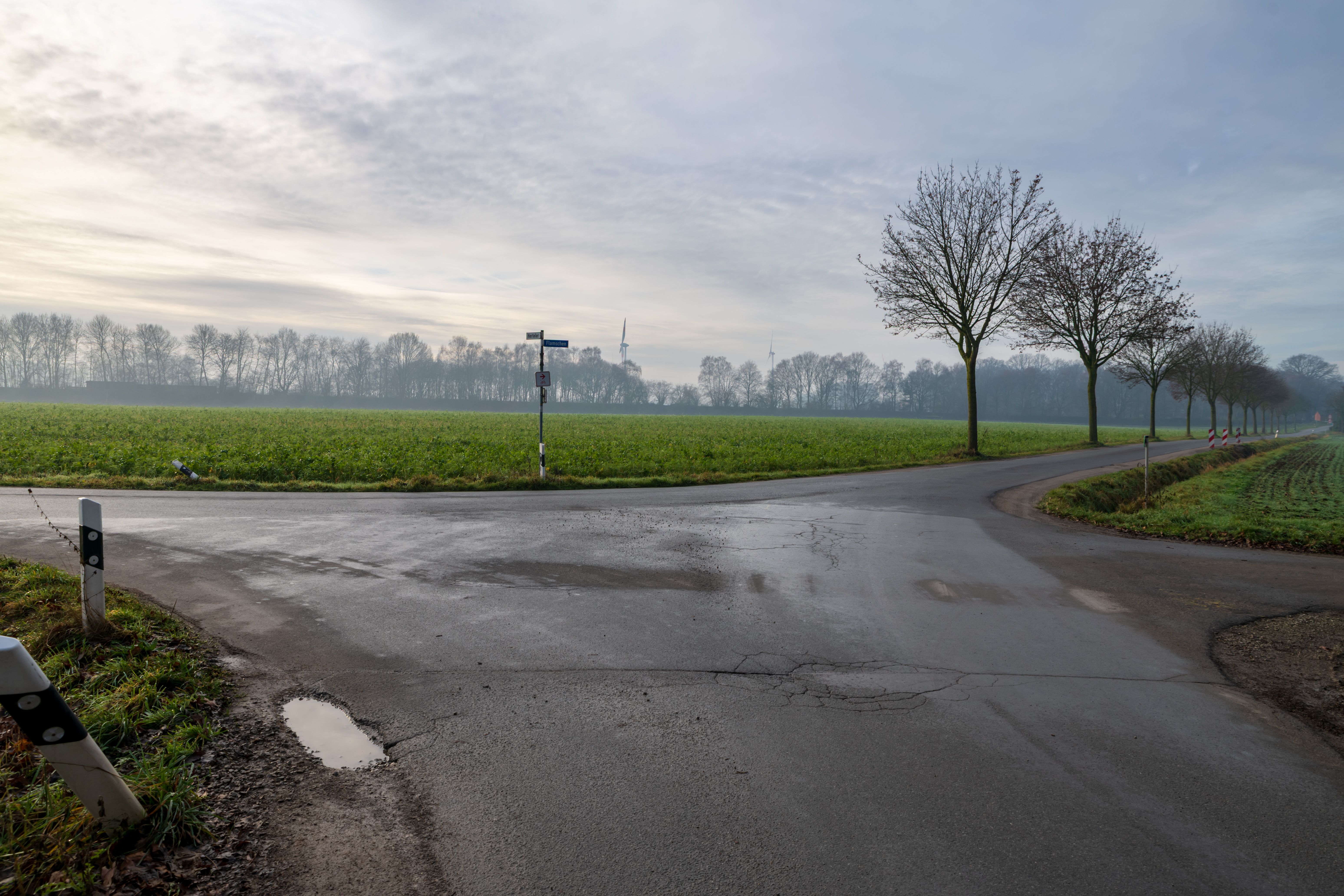 A serene rural road intersection with bare winter trees lining fields under a cloudy sky.