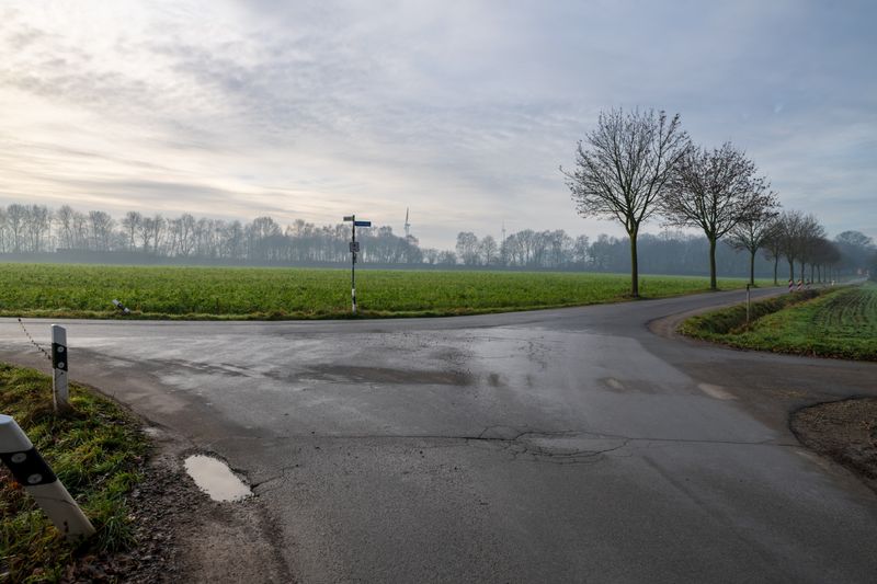 A serene rural road intersection with bare winter trees lining fields under a cloudy sky.