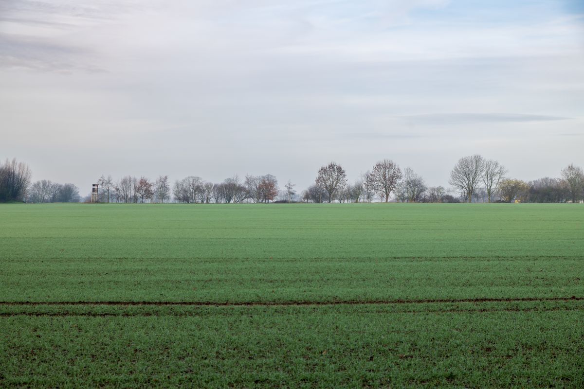 Empty Field Photos, Download The BEST Free Empty Field Stock Photos ...