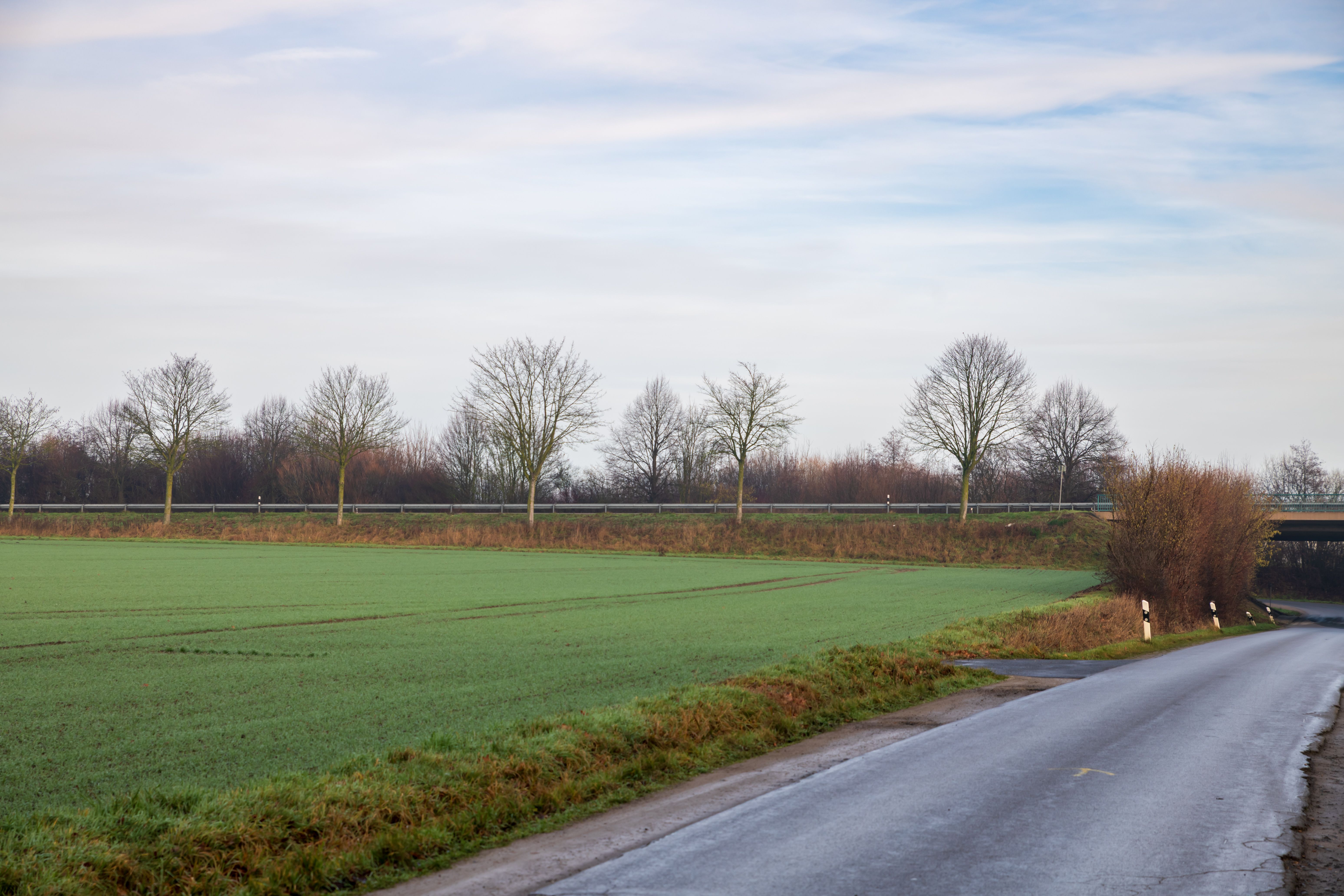 Serene Country Road in Early Winter Morning · Free Stock Photo