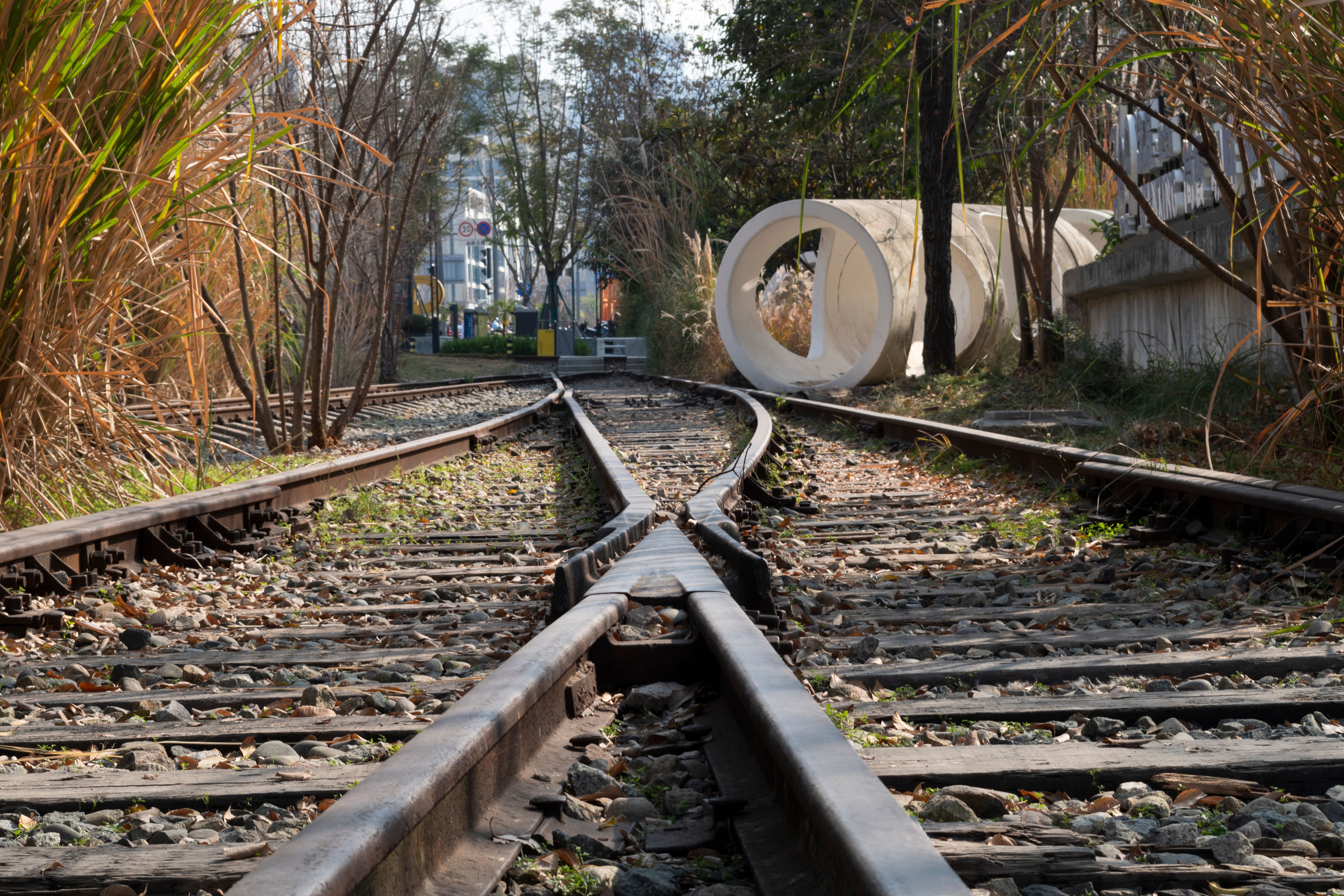 Gallup ends its presidential tracking poll, the latest shift in the public opinion landscape — Photo by 峻贰 硫 on Pexels