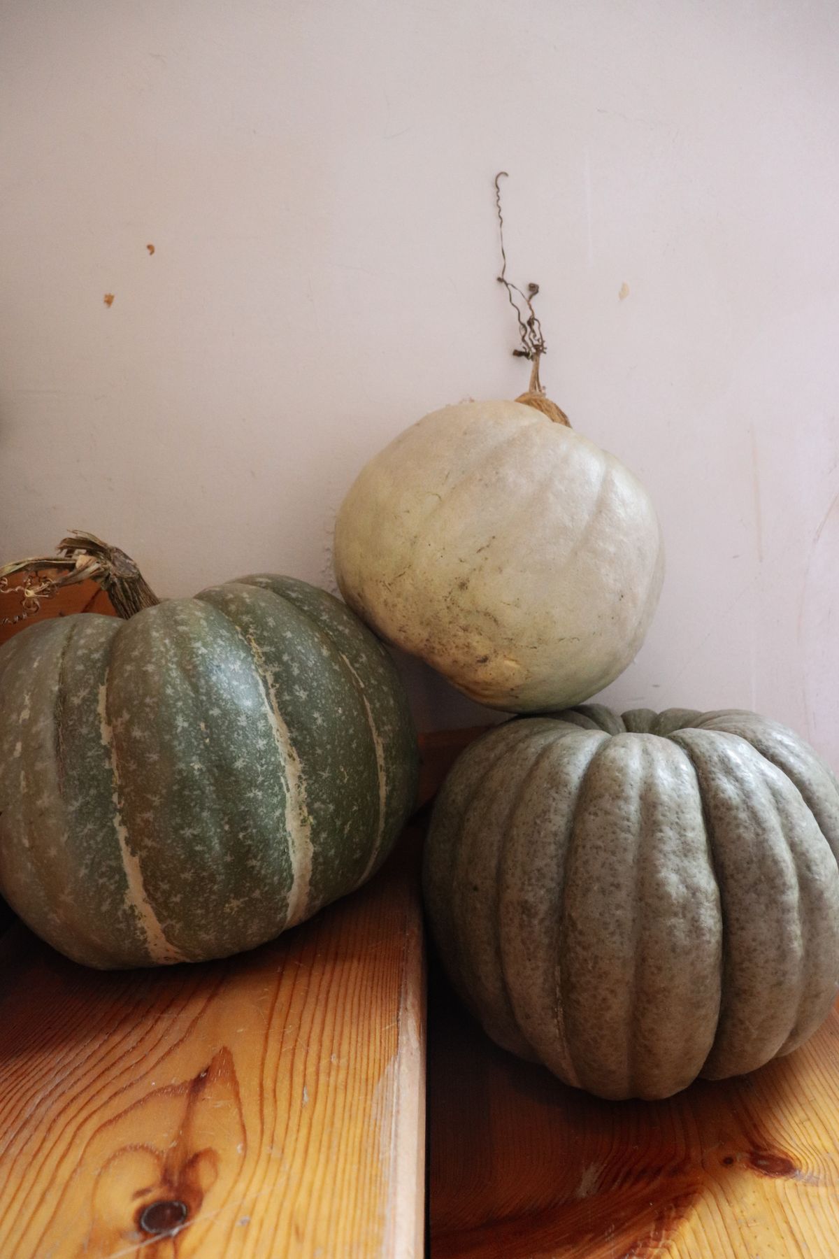 Three rustic pumpkins arranged on a wooden surface, capturing an earthy autumn vibe. Stock Photo.