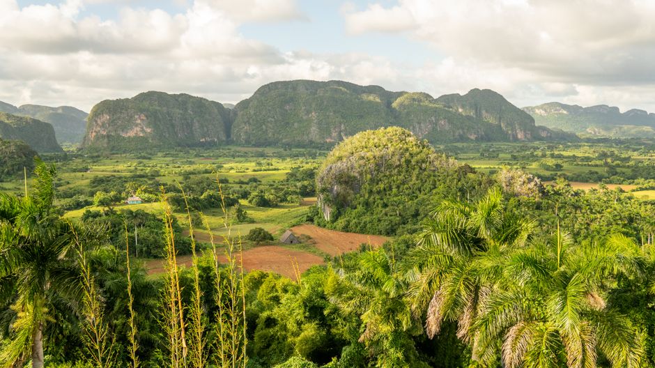 Immigrer en Cuba en tant que francophone : Avantages et Options