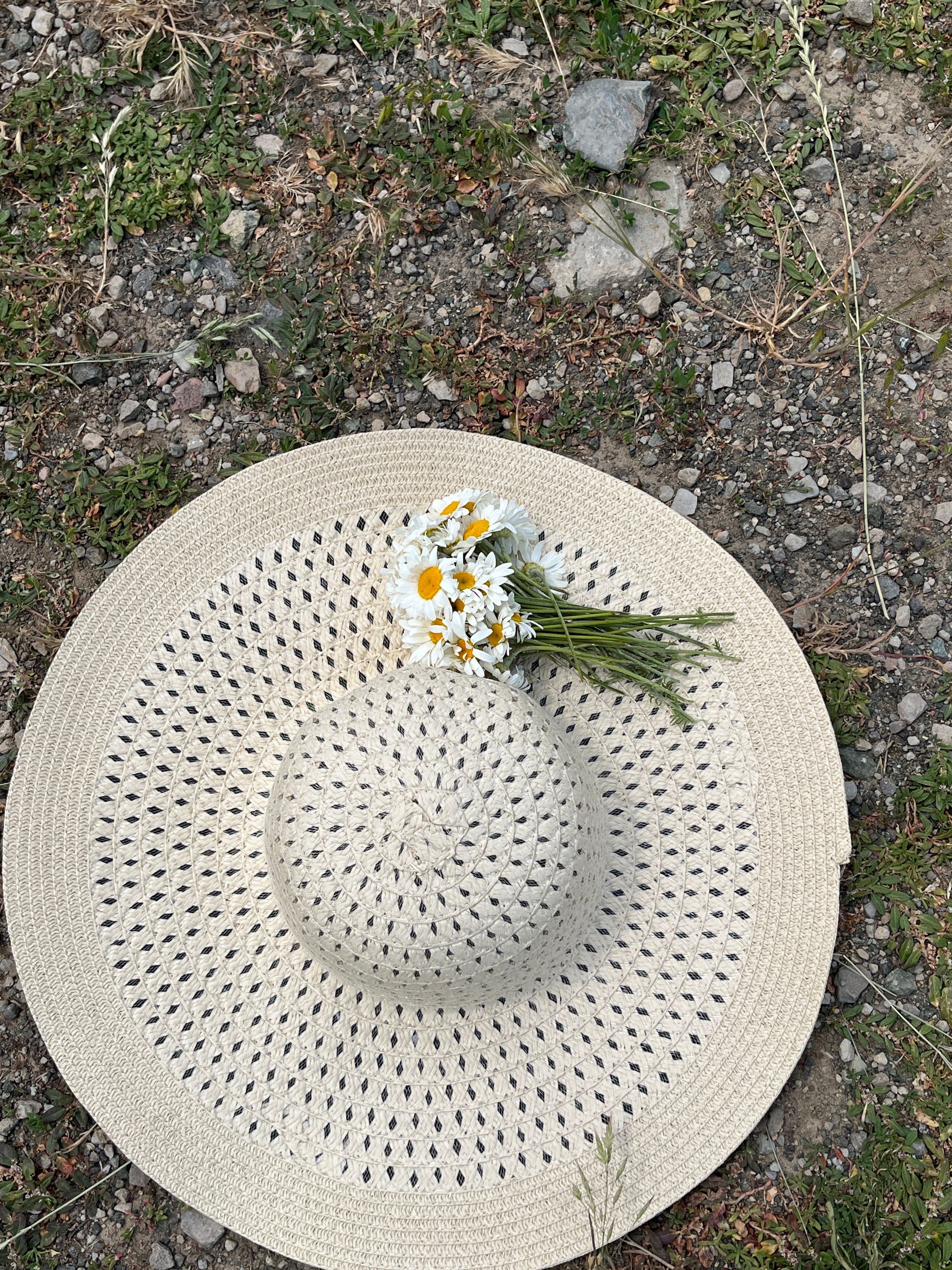 Vibrant Wildflowers Arranged in a Straw Hat Outdoors · Free Stock Photo