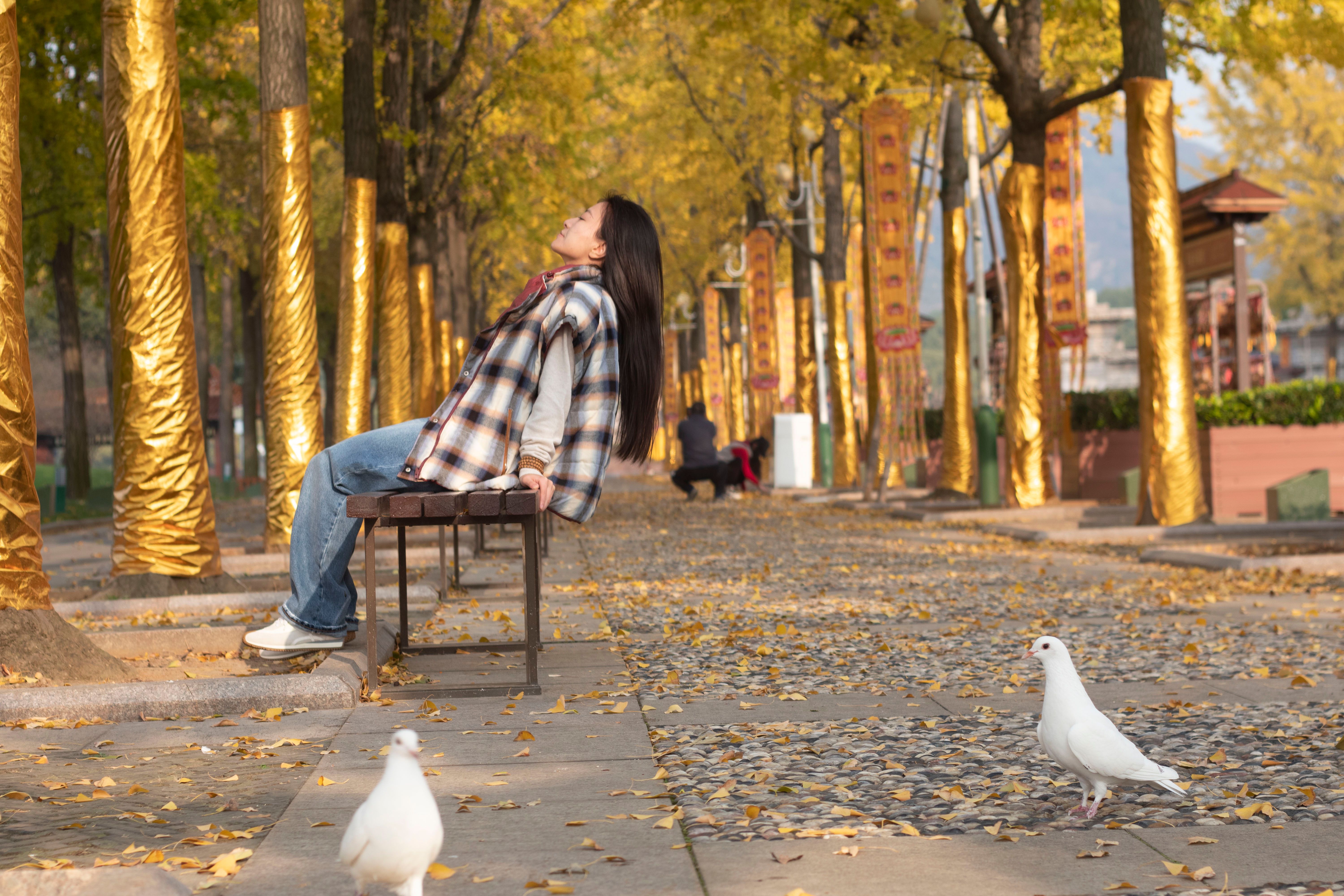 Just One Minute of Birdsong From Home Can Lift Your Mood and Cut Stress, Study Finds