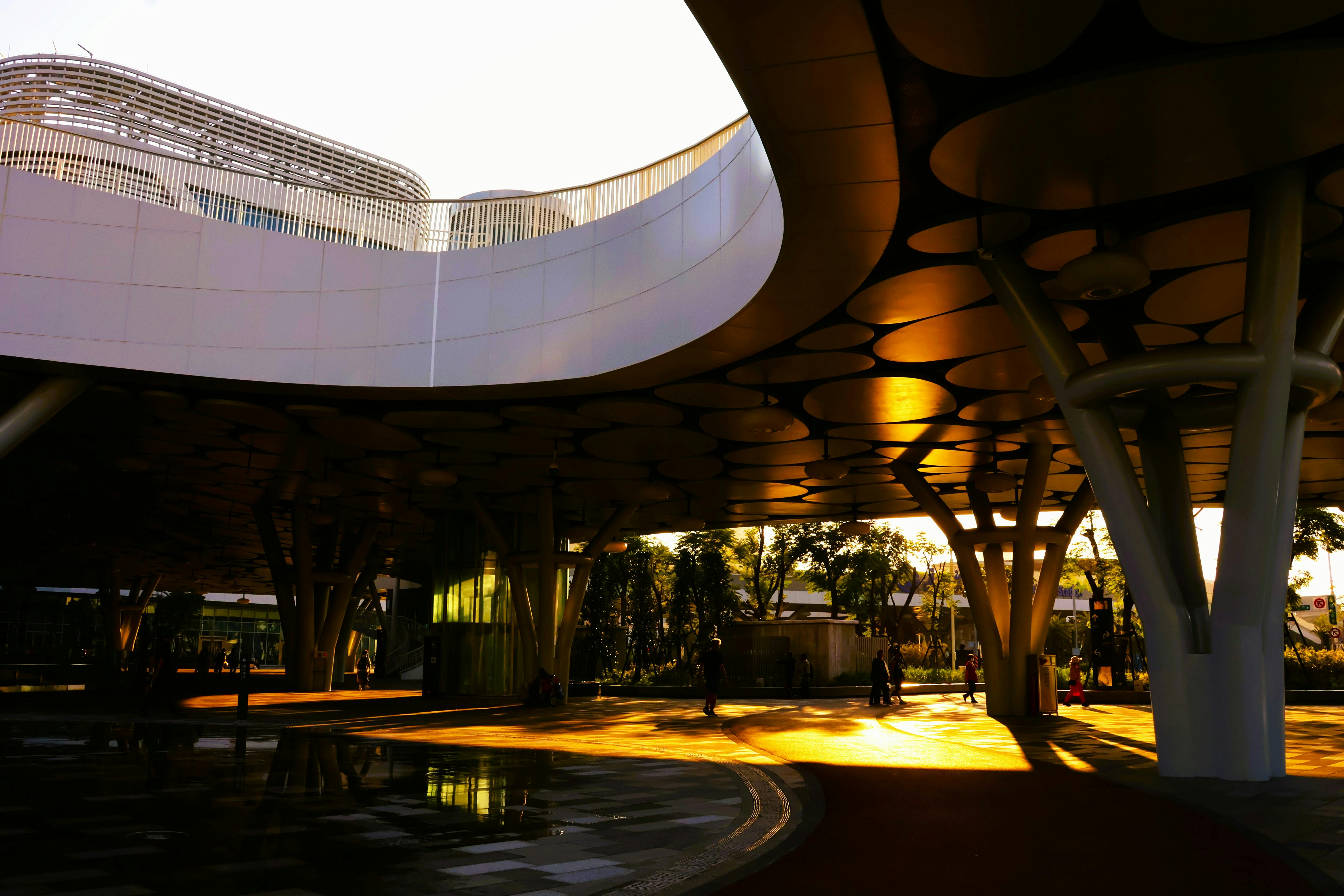 Honoring mentorship, innovation and civic engagement at UNC Charlotte — Photo by Sunny Li on Pexels