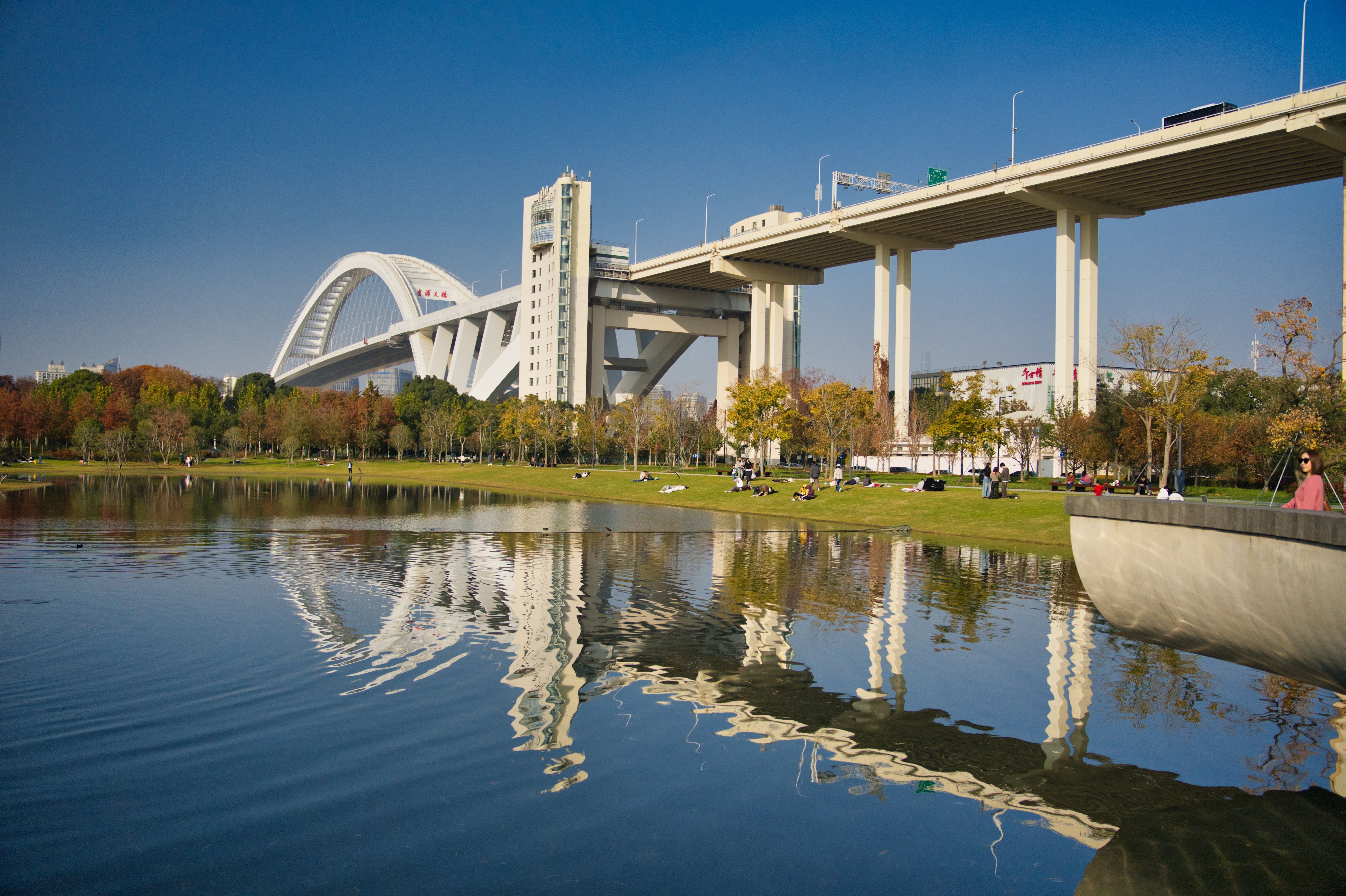 Modern Bridge Over Scenic Park River Reflection · Free Stock Photo