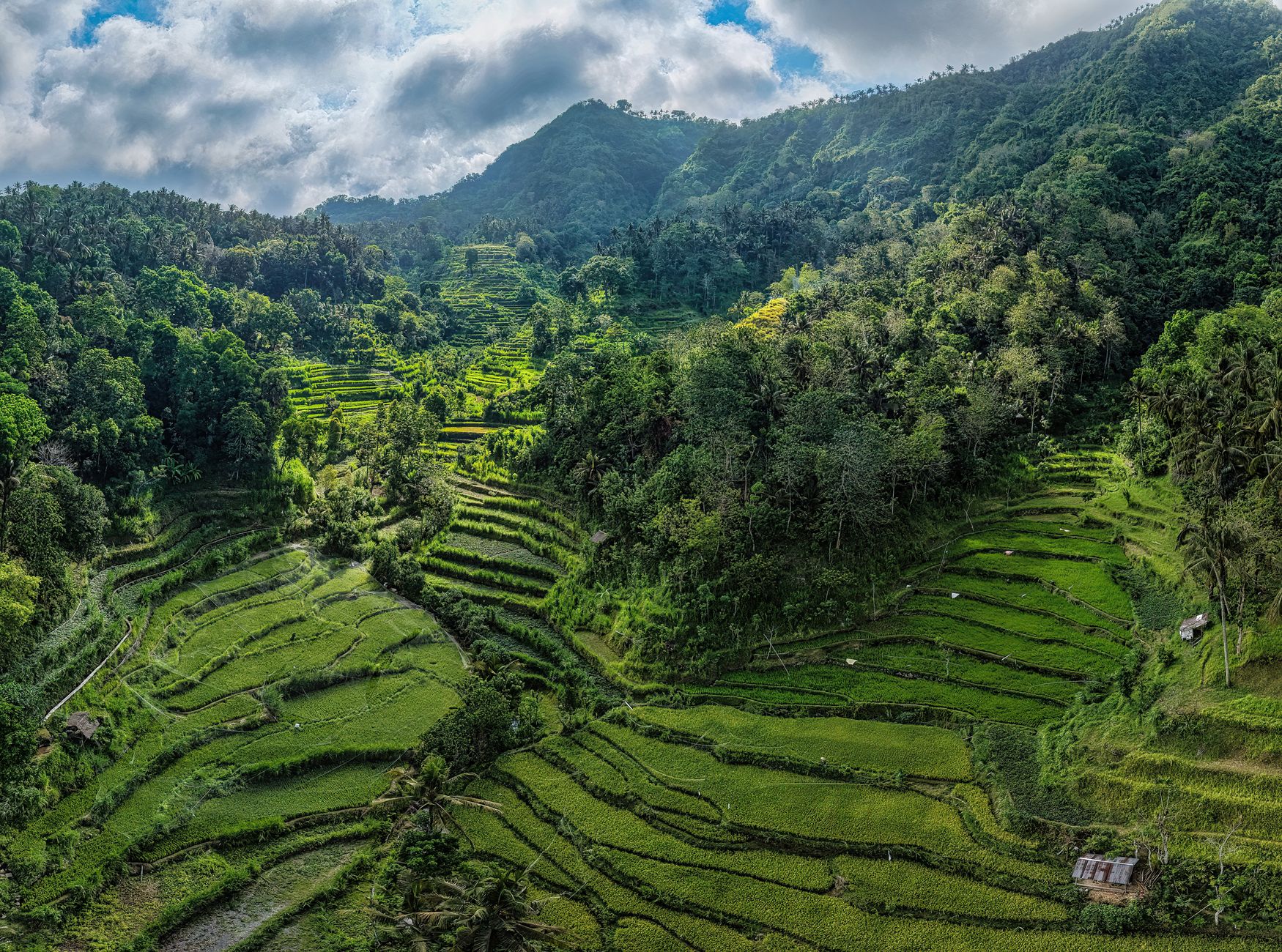 Bali Eco Yoga