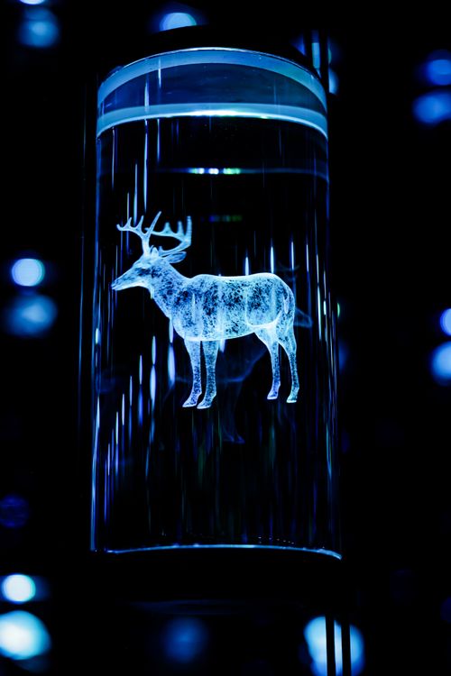 Free Abstract neon art featuring a glowing deer in a dark, mystical atmosphere. Stock Photo
