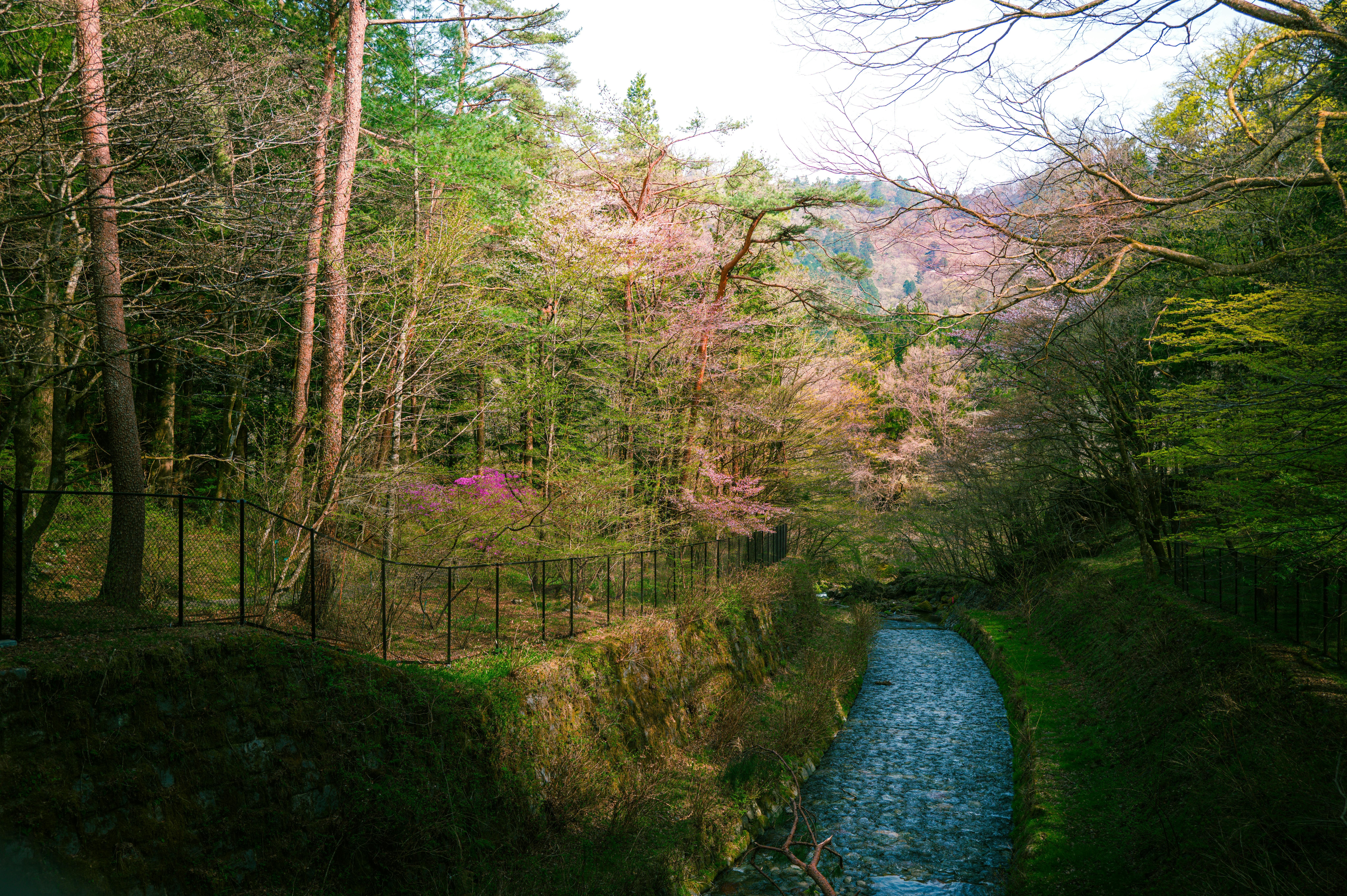 Free stock photo of 4k wallpaper, 6k, 8k