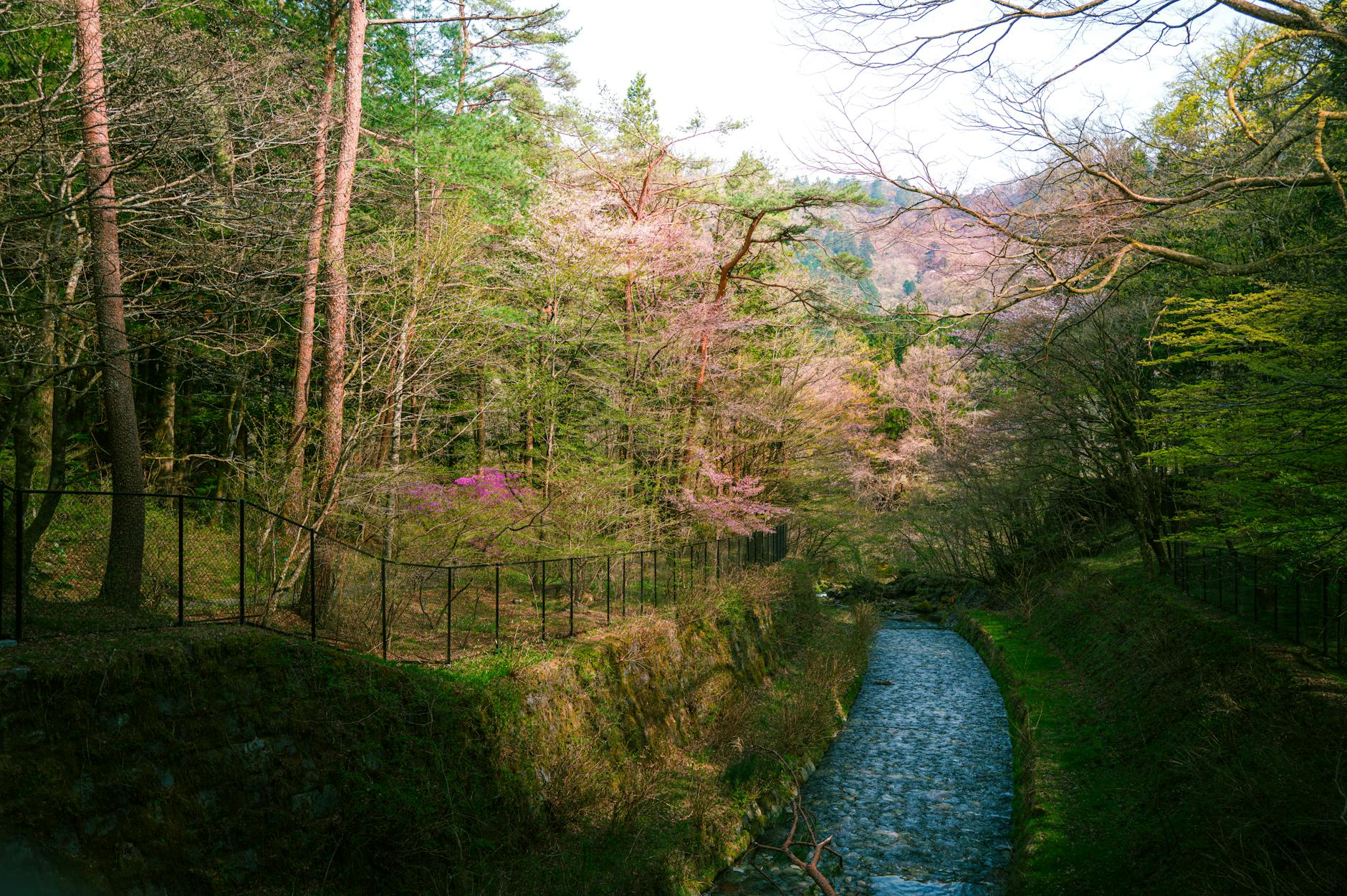 Free stock photo of 4k wallpaper, 6k, 8k