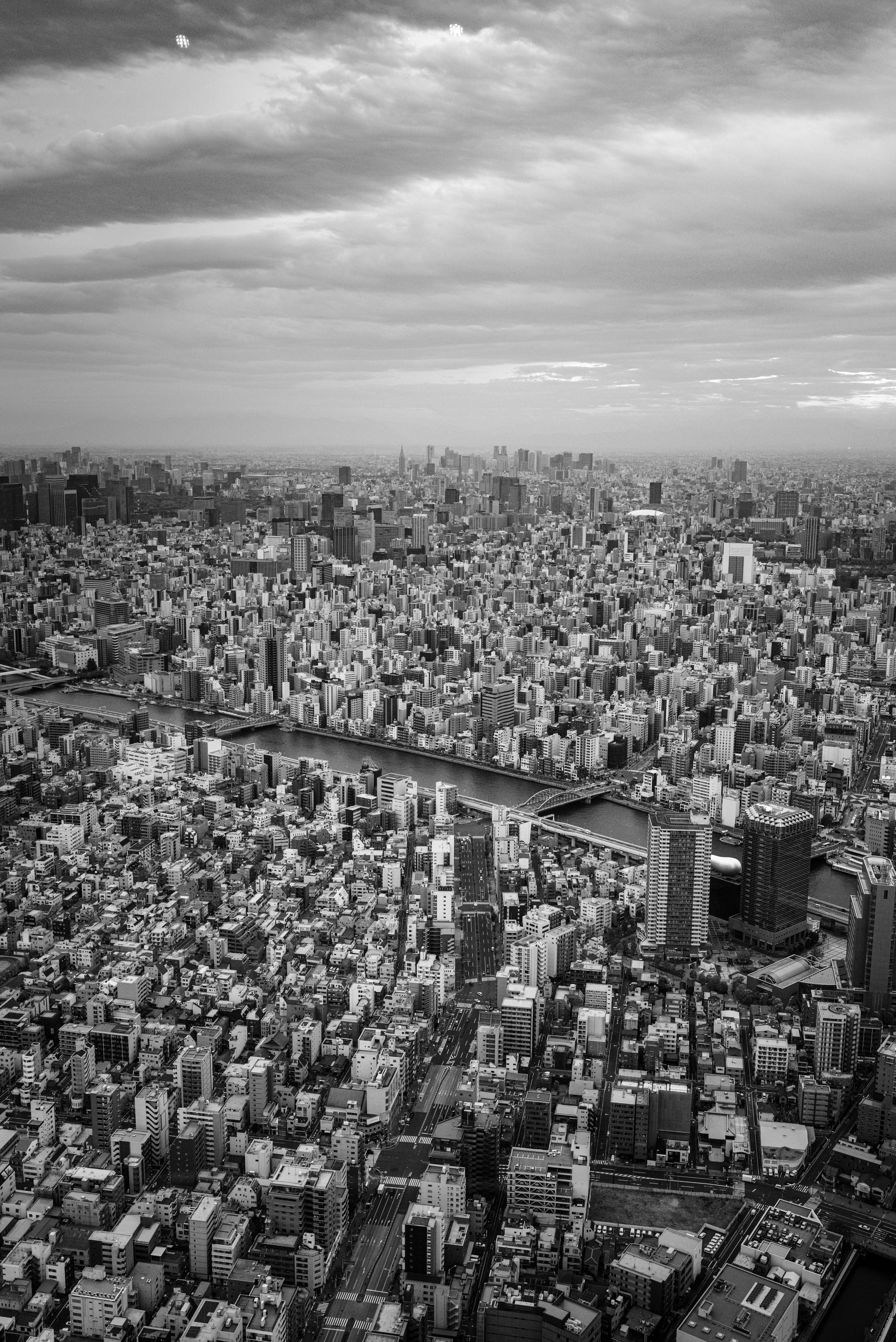 Monochrome aerial shot capturing Tokyo's sprawling urban landscape and skyline.