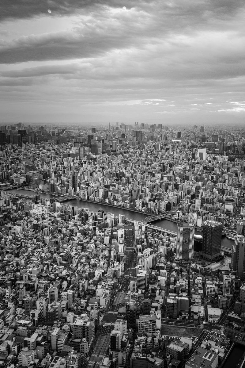 Monochrome aerial shot capturing Tokyo's sprawling urban landscape and skyline.