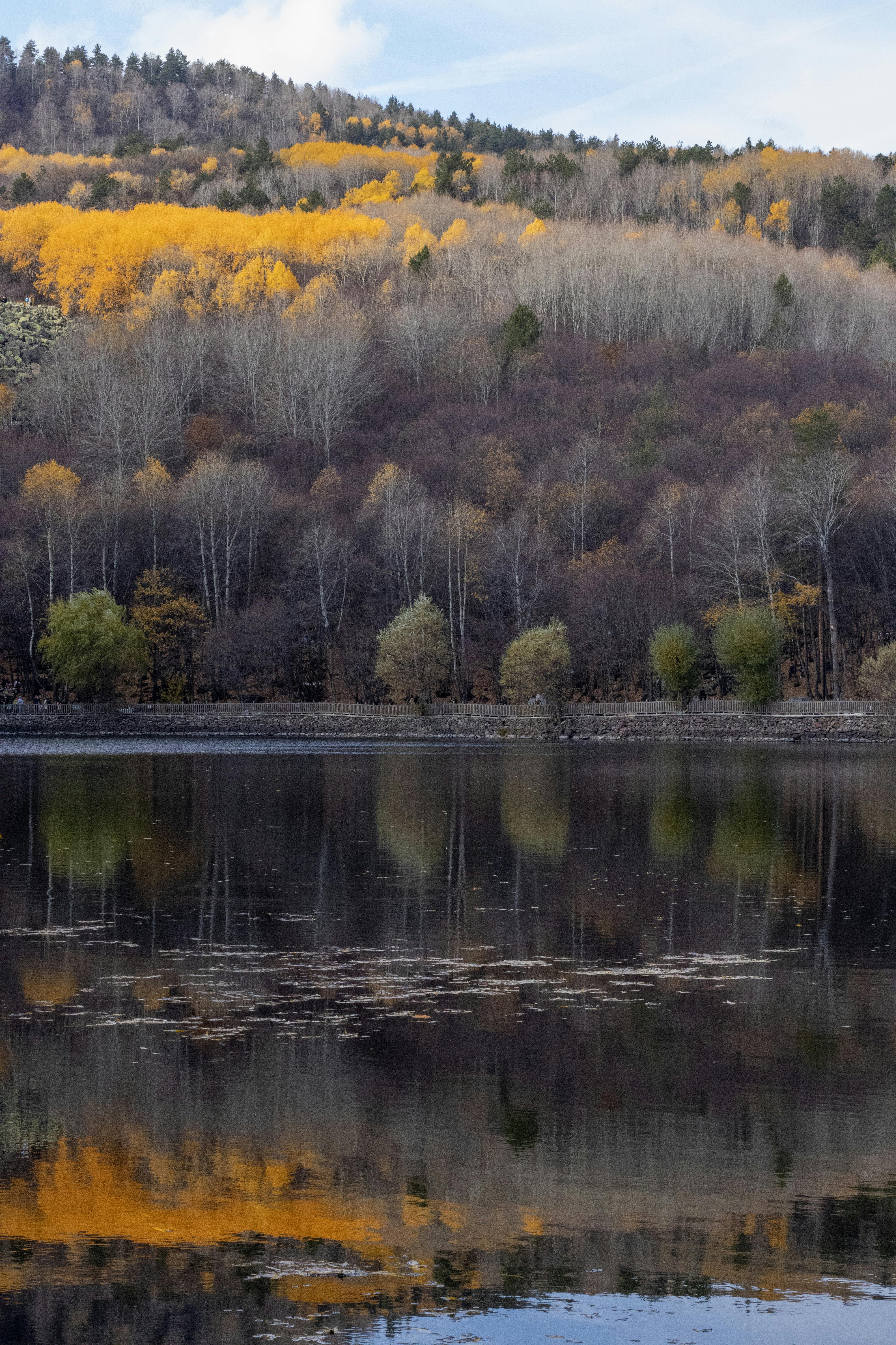 Stunning autumn foliage reflected in a tranquil lake in Yeşilkent, Ankara.