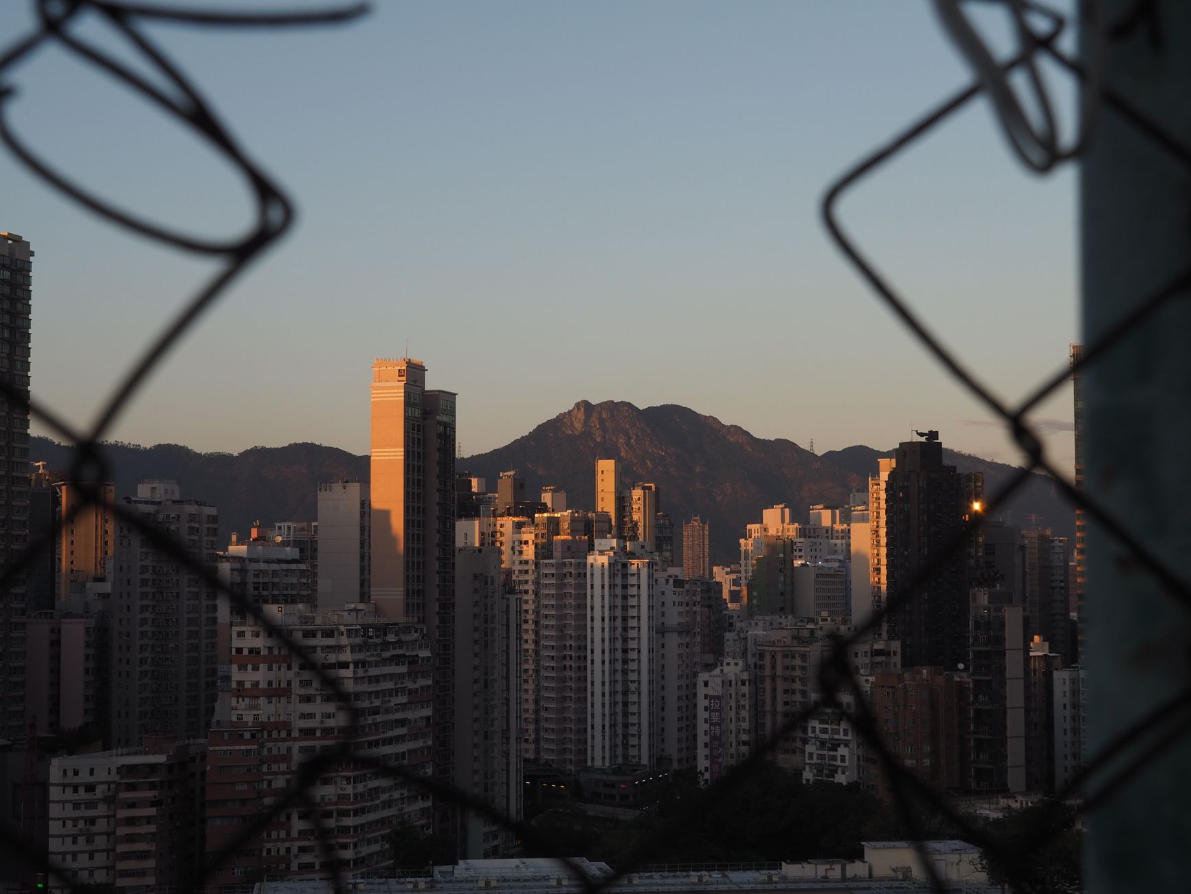 香港沙田馬場晨間賽事準備,馬匹進行賽前操練,天空微亮且氣氛專注