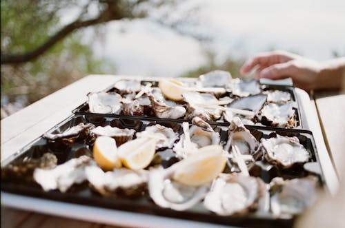 Free Selective Focus Photo of Oysters Ceramic Tray Stock Photo