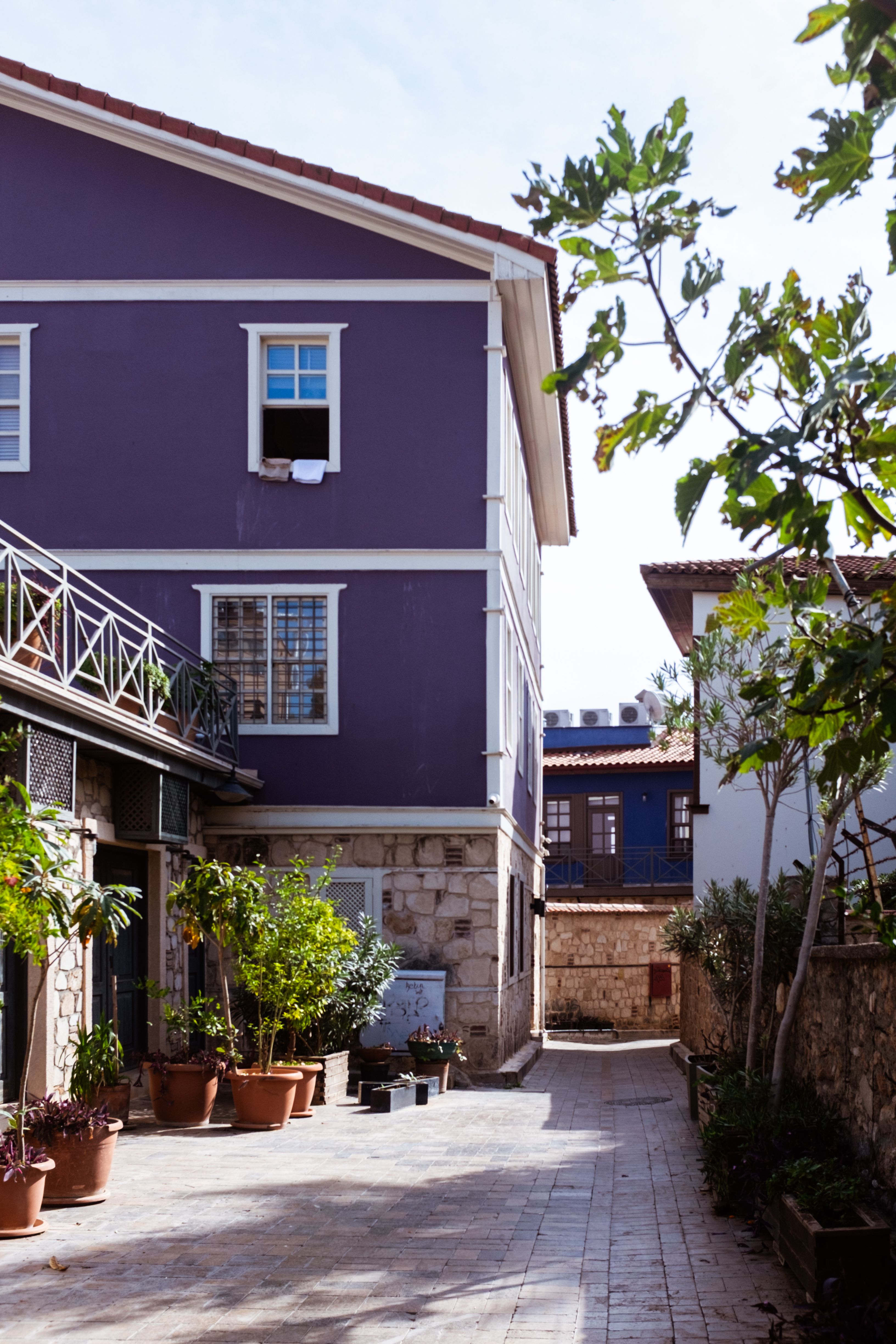 Charming Courtyard with Purple Building and Plants · Free Stock Photo
