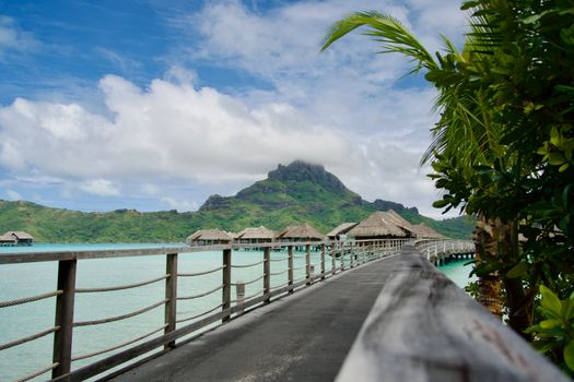 Private lagoon boat + shark feed — Bora Bora