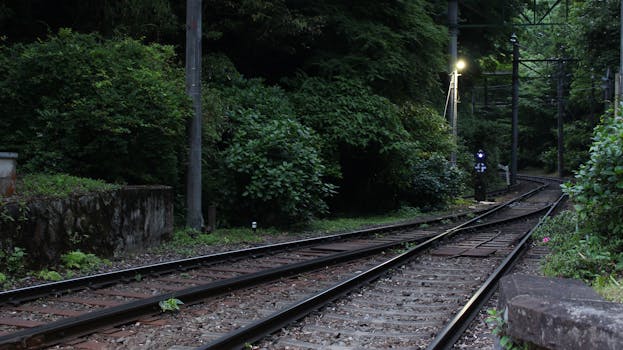 A tranquil railway track amidst dense greenery in Hakone, Japan, capturing nature's embrace.