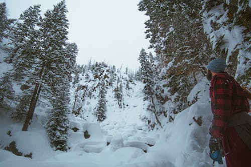 Mann, Der Schneebedeckte Bäume Betrachtet