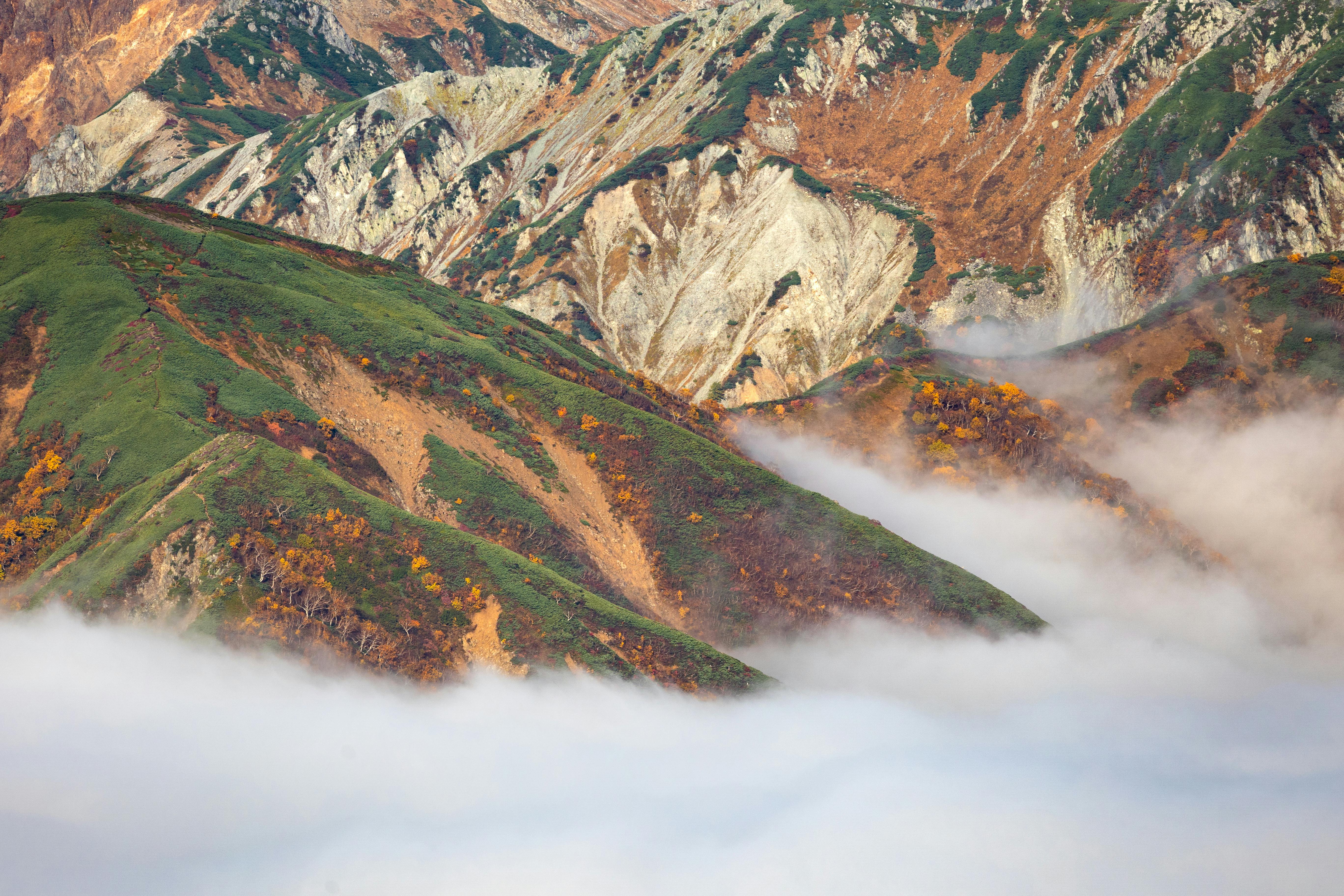 Sustainable compliance