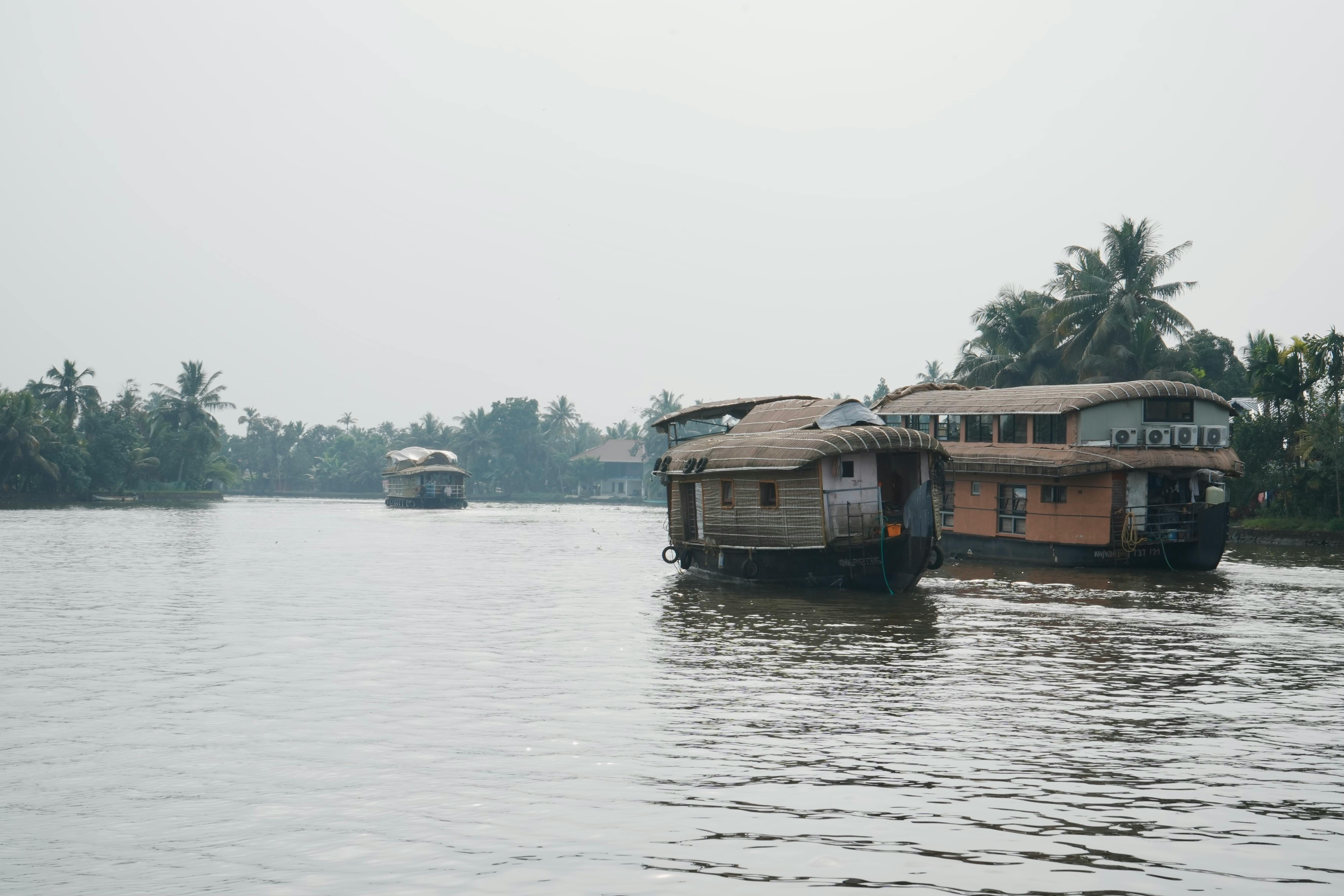 Serene Backwaters