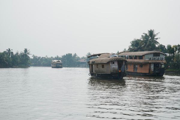Serene Backwaters