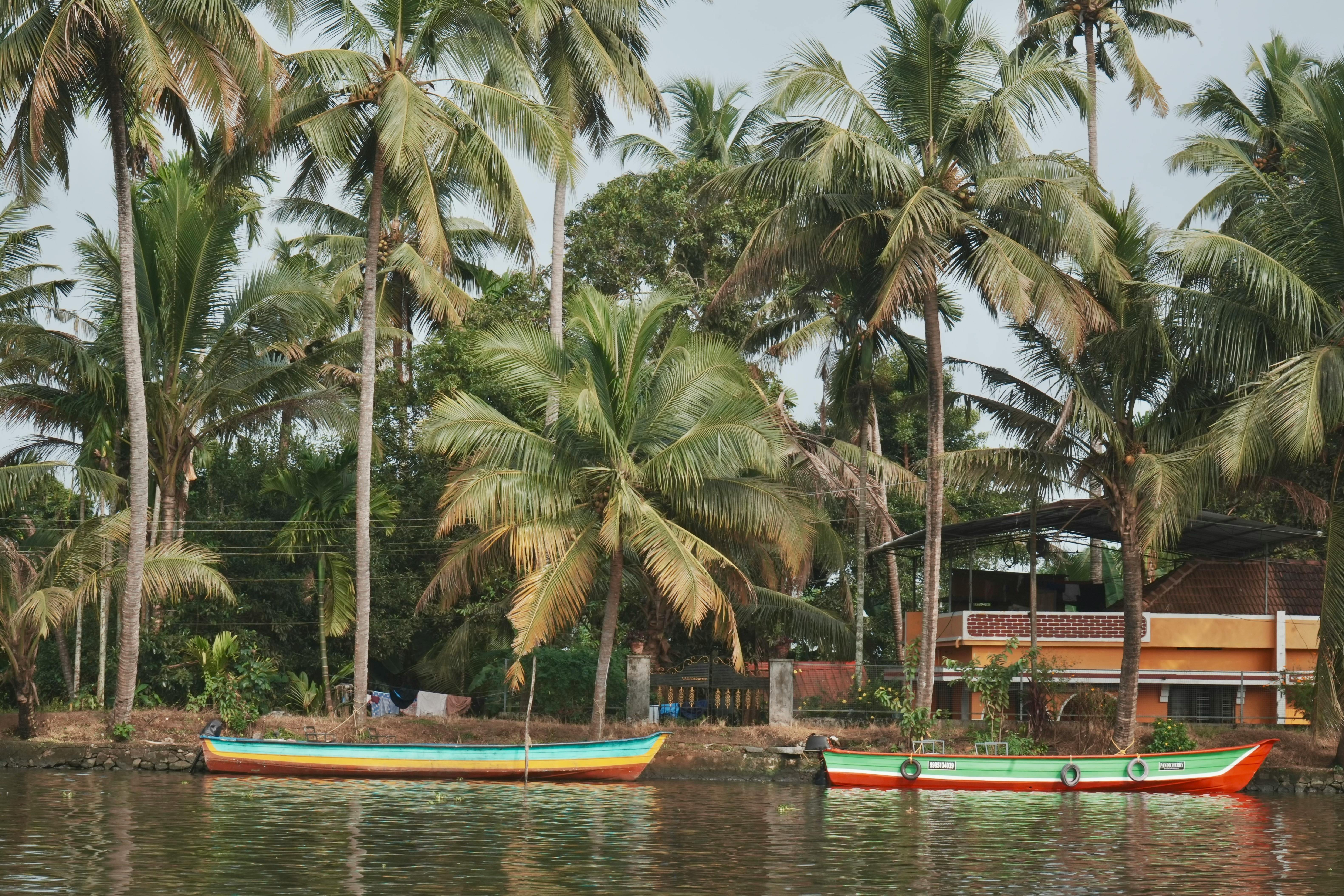 Scenic Kerala Backwaters with Colorful Boats